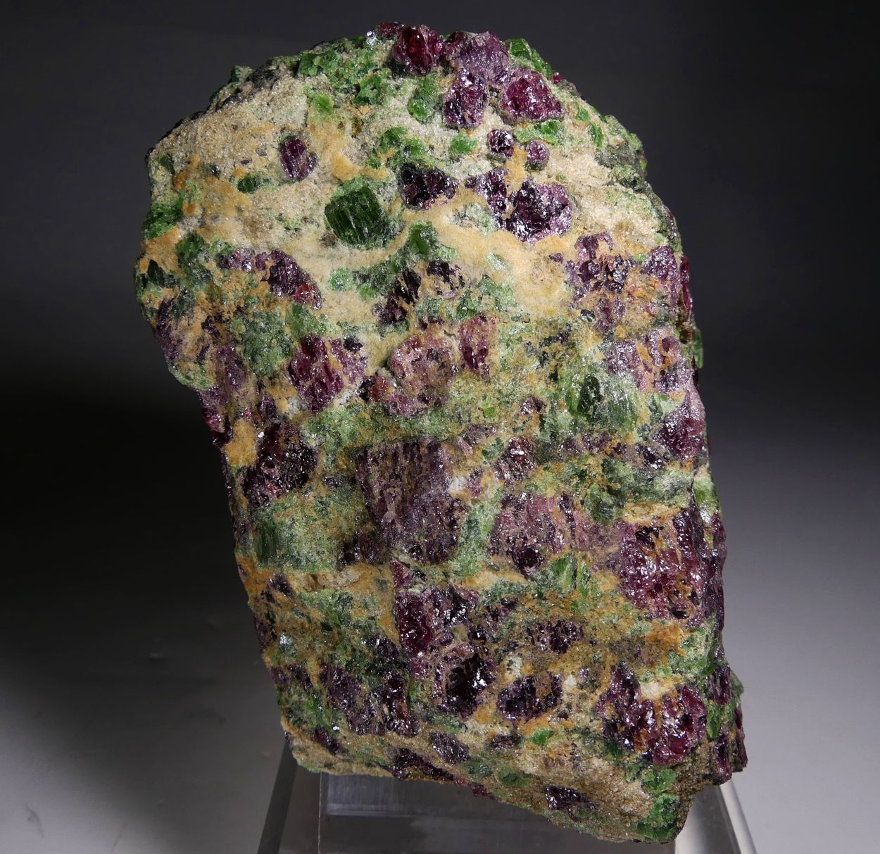 Pyrope Chromian Diopside & Forsterite