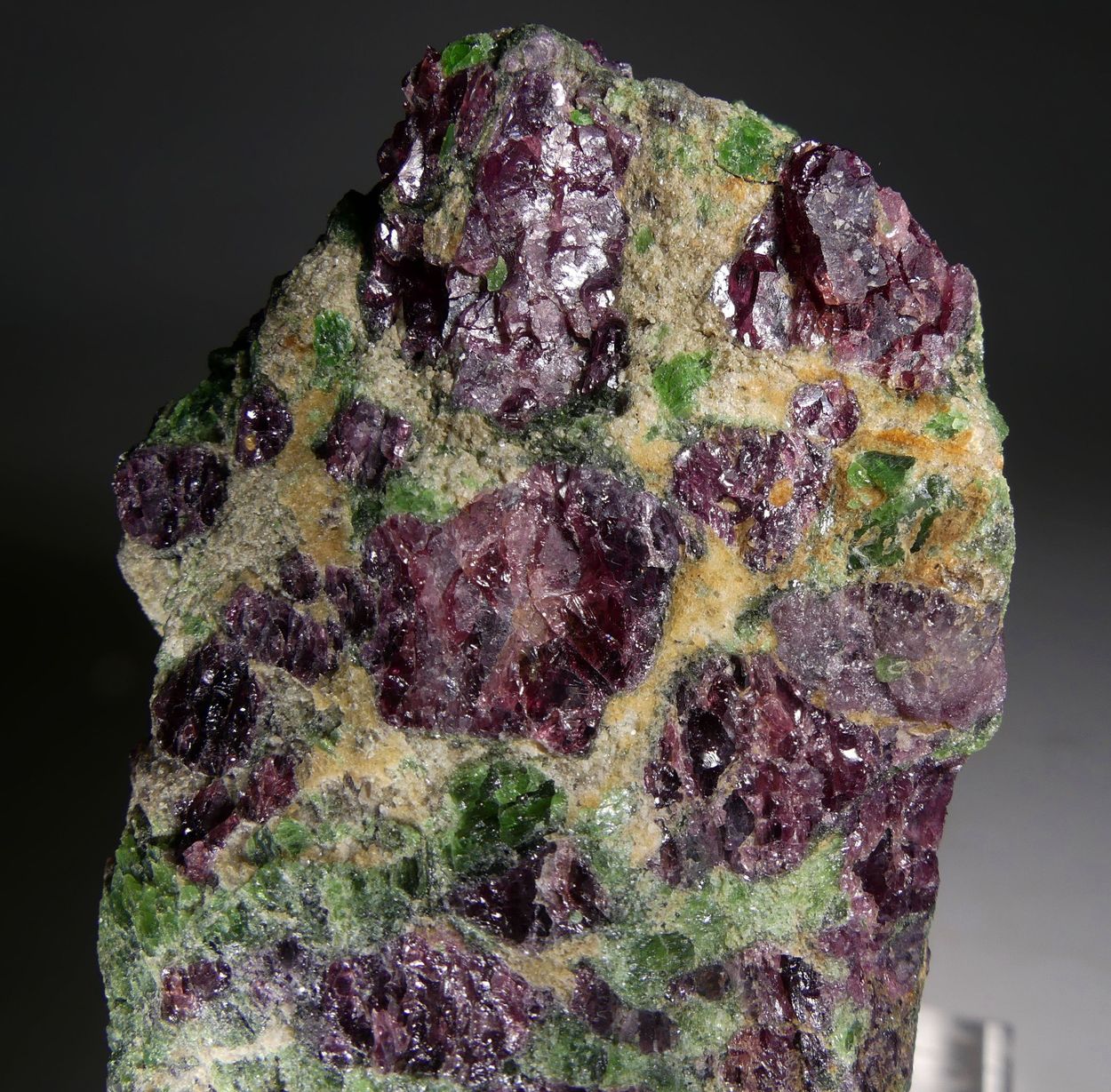 Pyrope Chromian Diopside & Forsterite