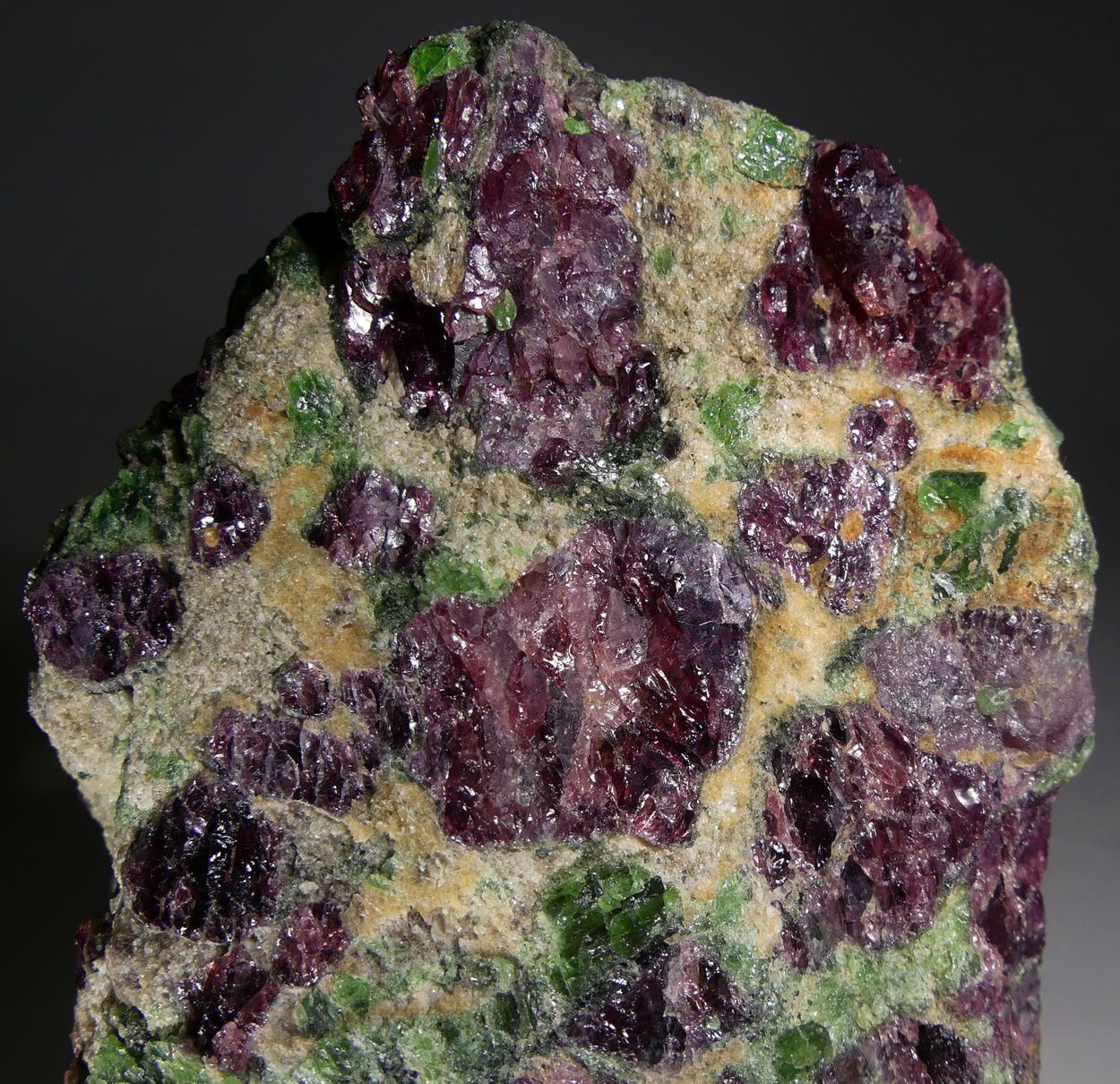 Pyrope Chromian Diopside & Forsterite