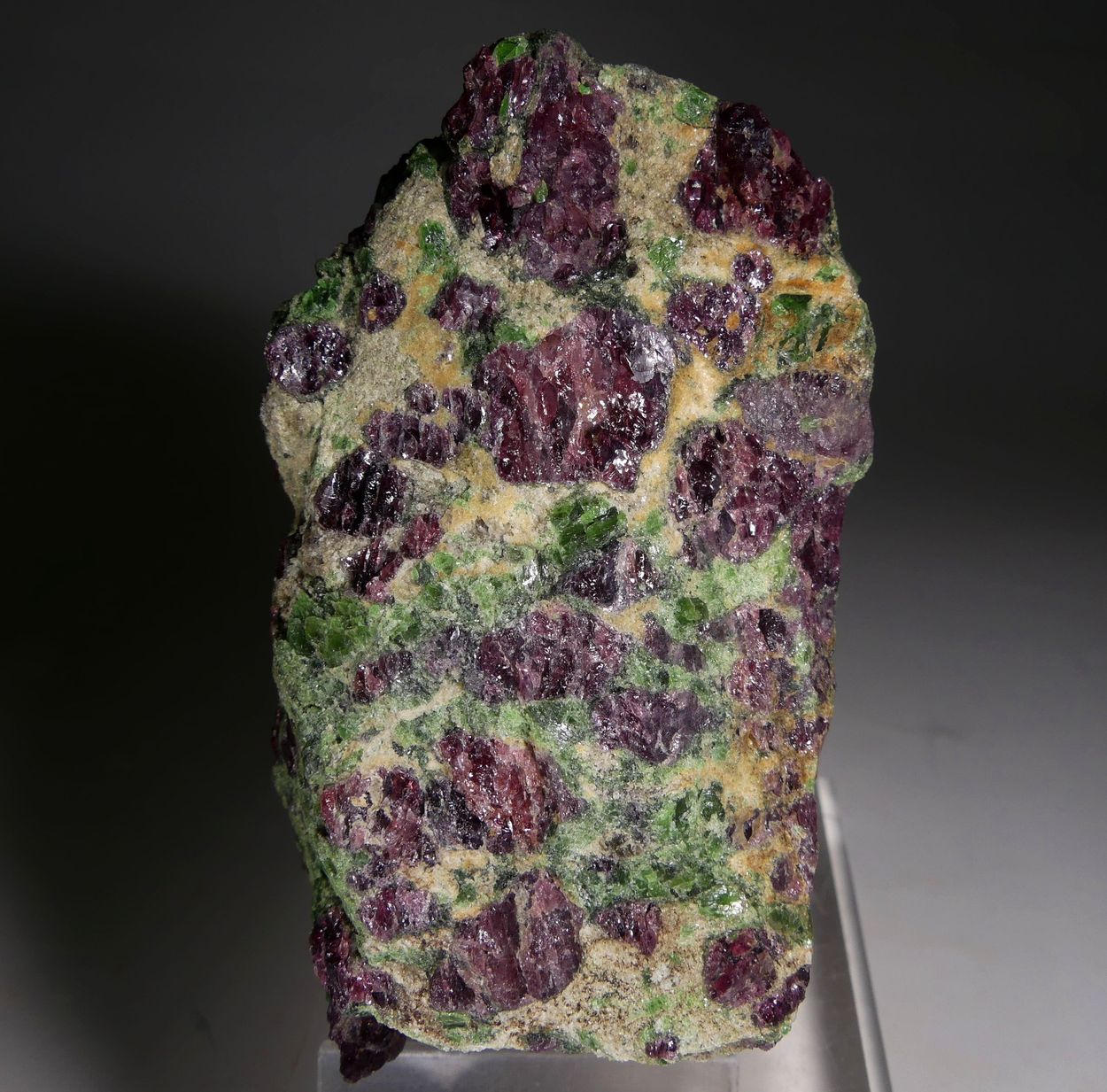 Pyrope Chromian Diopside & Forsterite