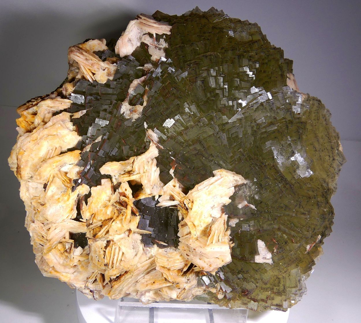 Fluorite With Baryte