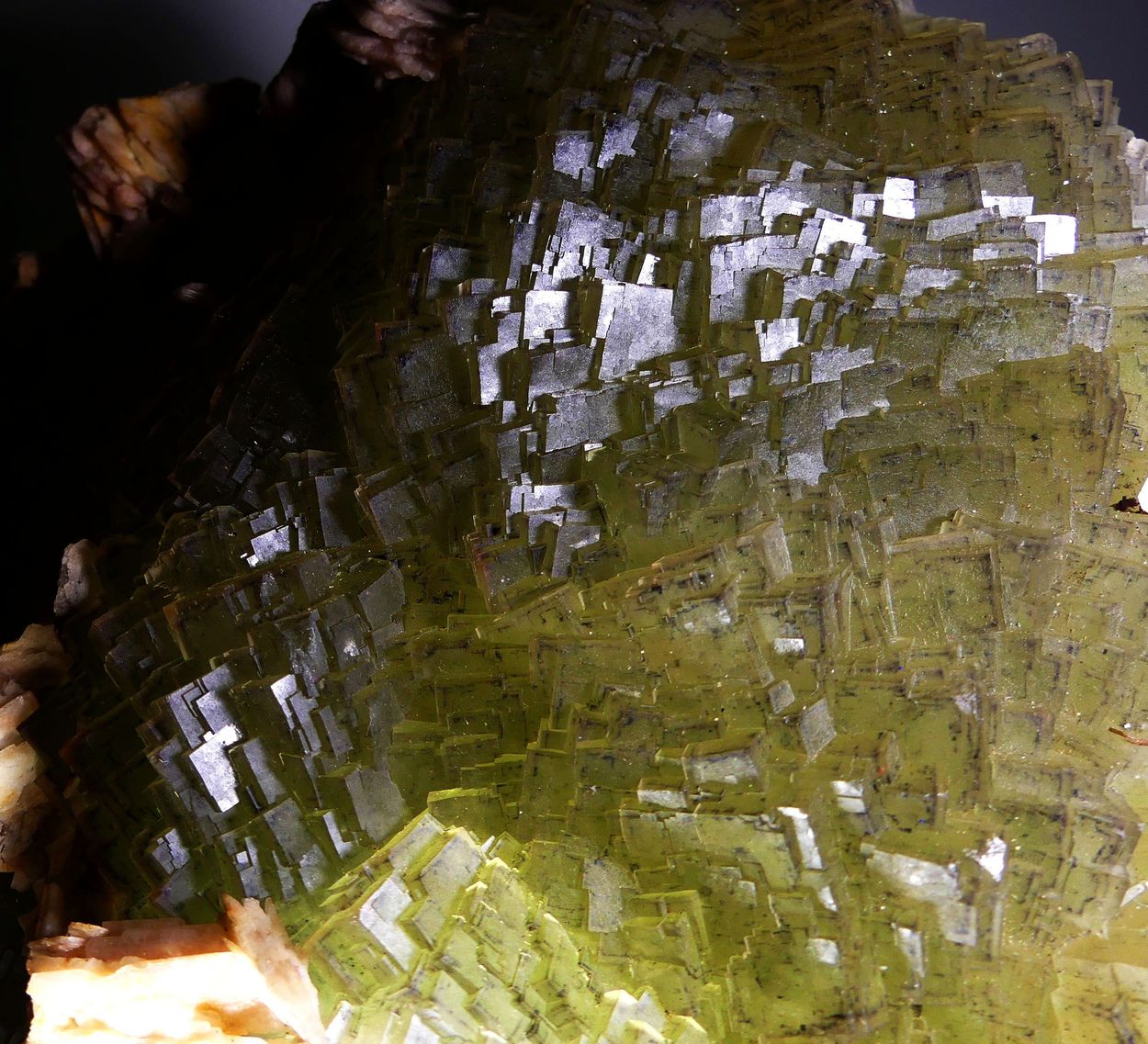 Fluorite With Baryte