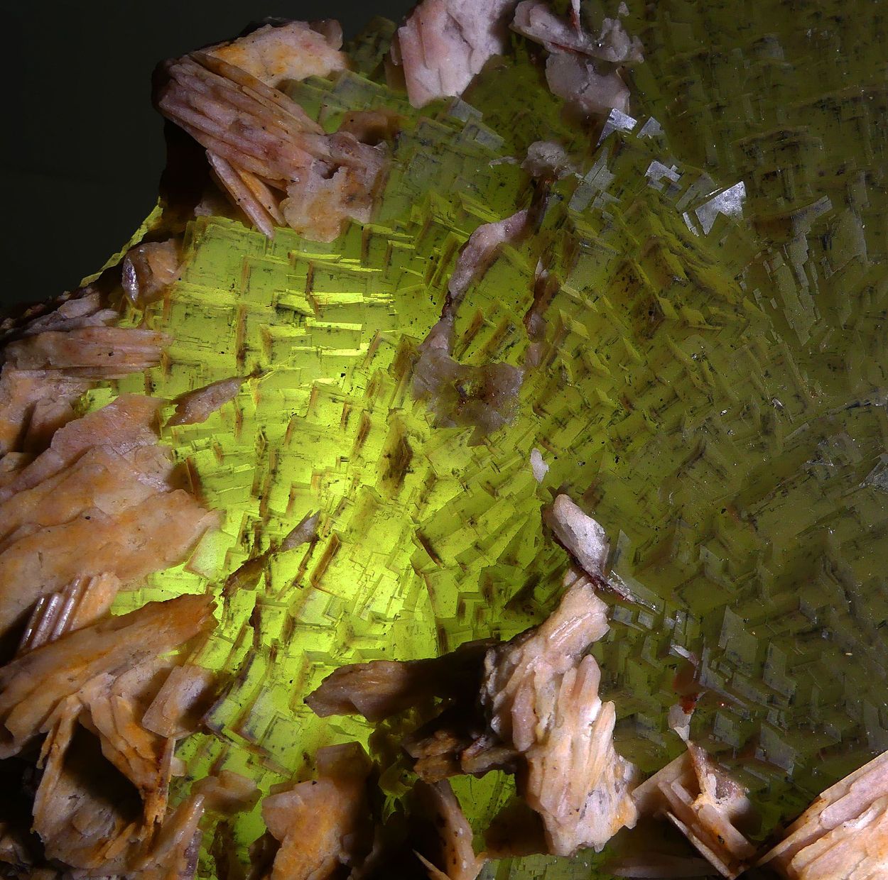 Fluorite With Baryte