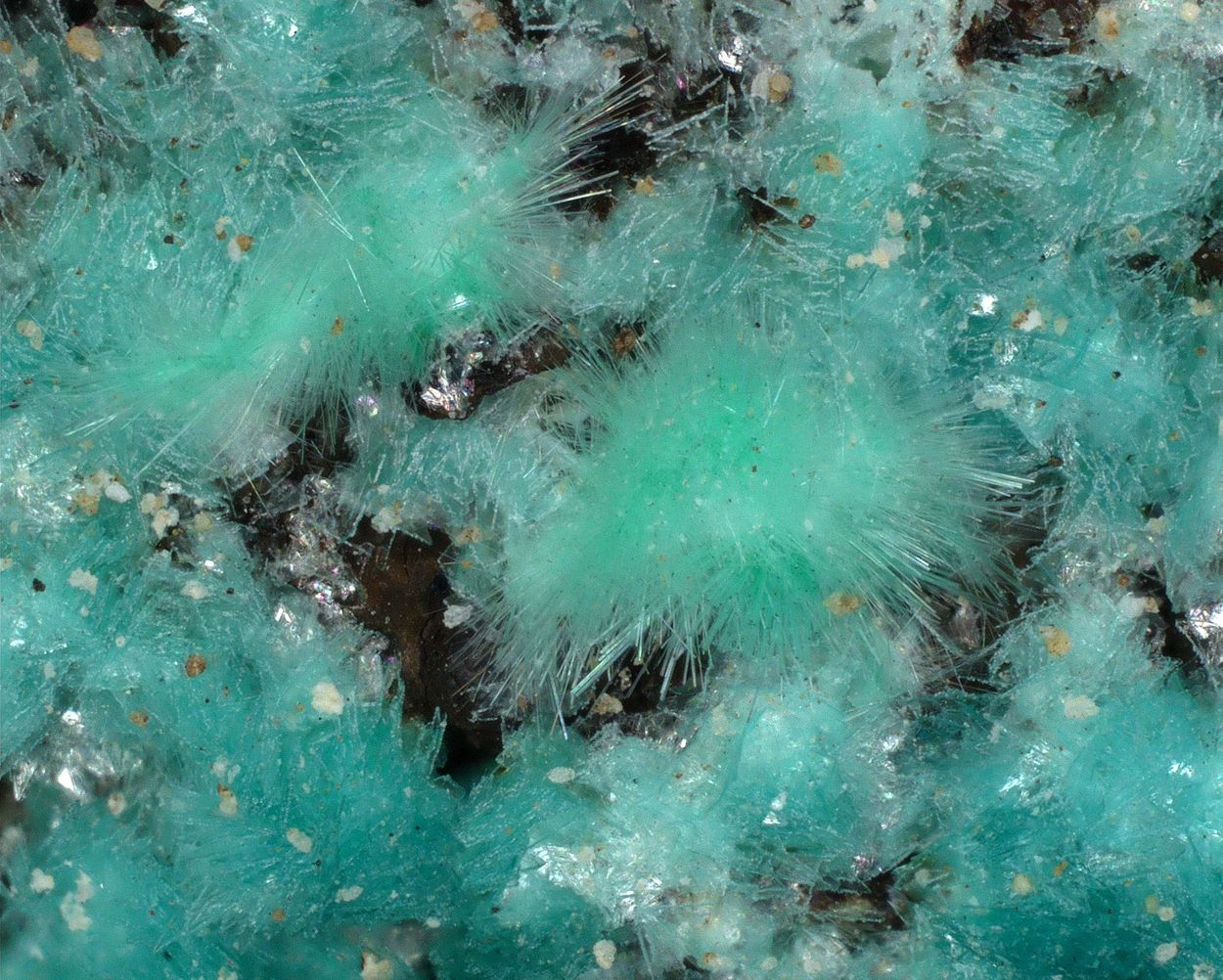 Agardite-(La)