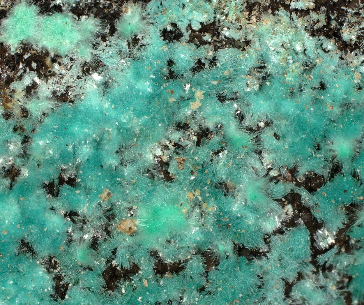Agardite-(La)