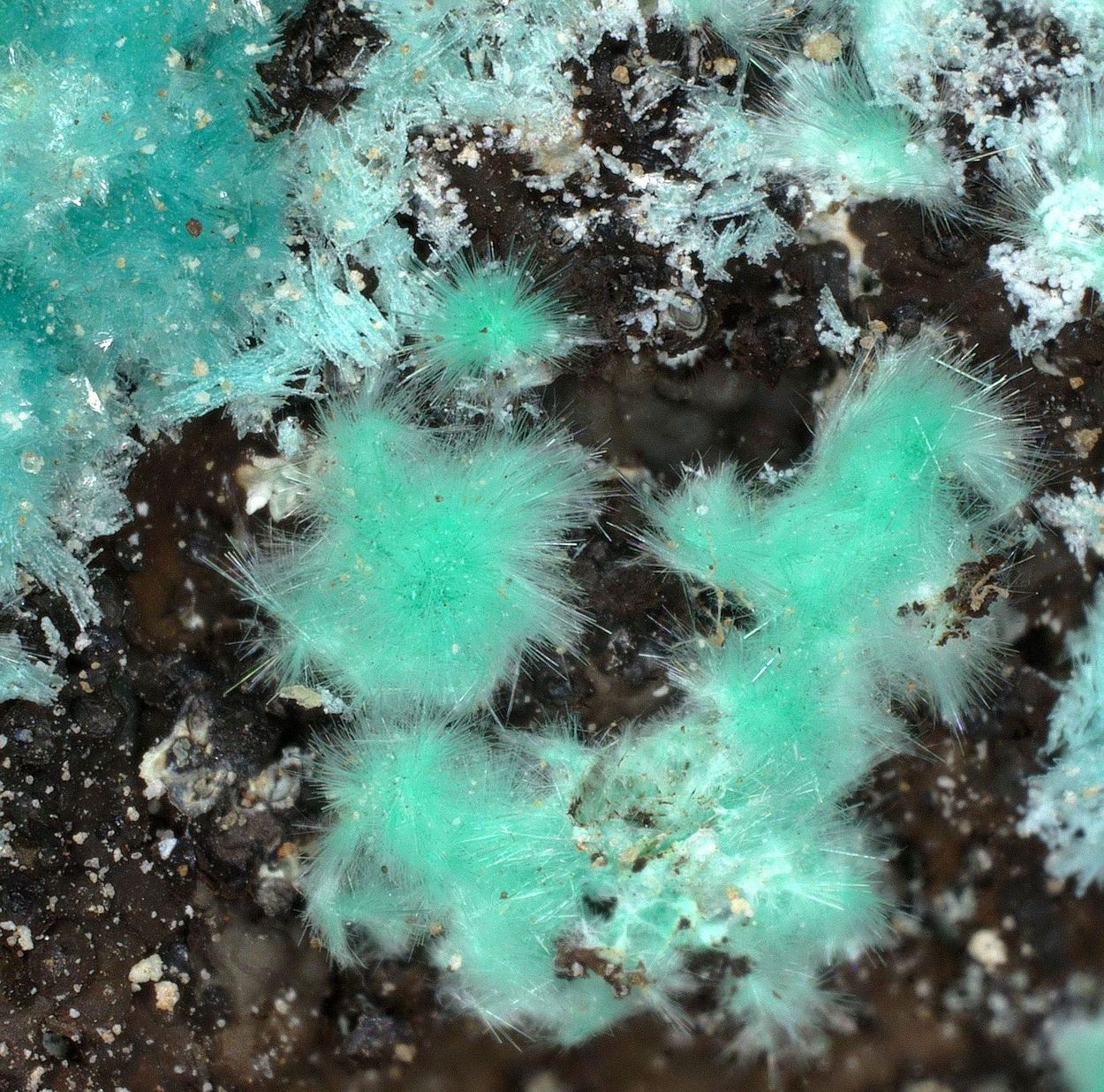 Agardite-(La)