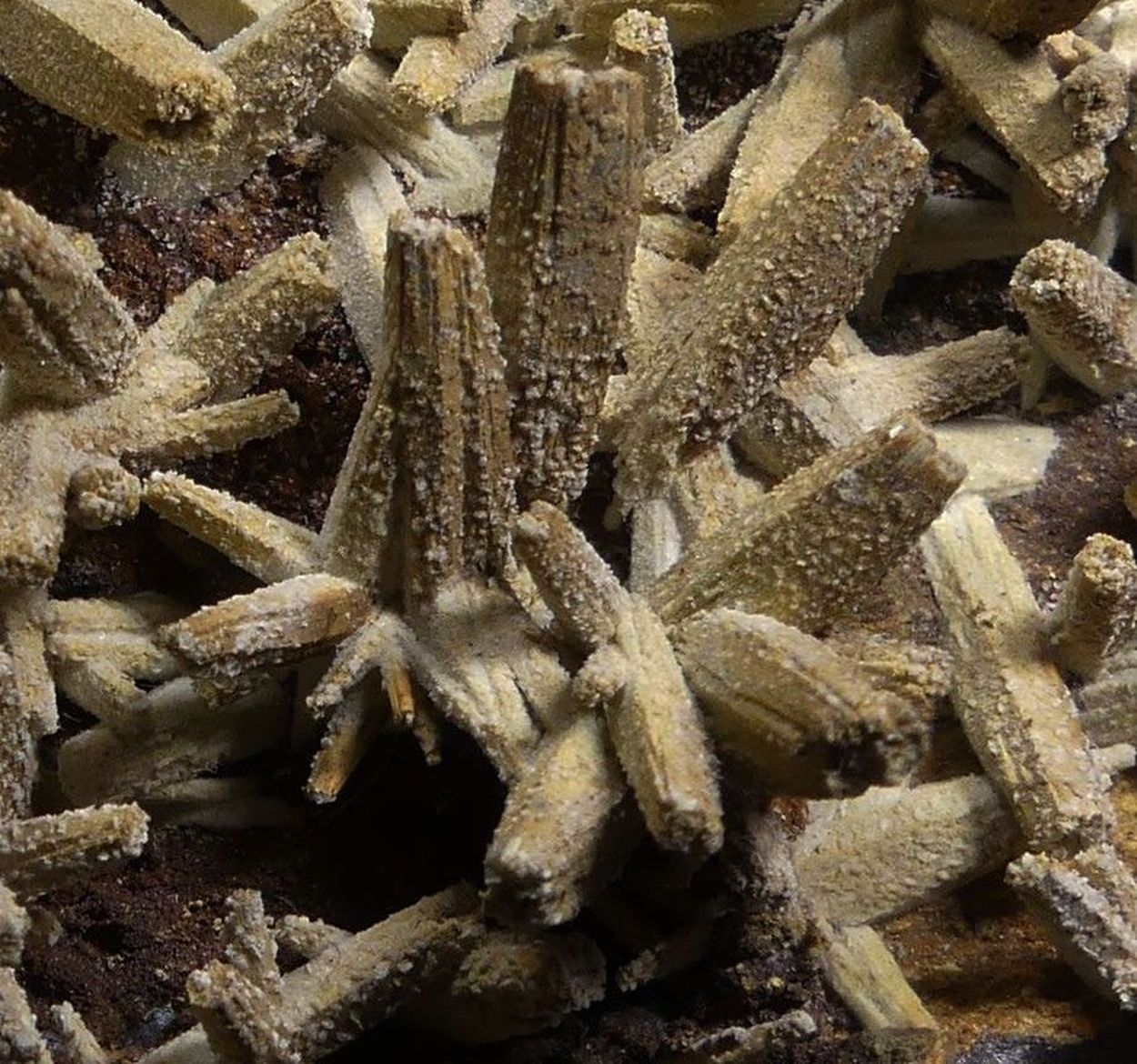 Anglesite Psm Pyromorphite