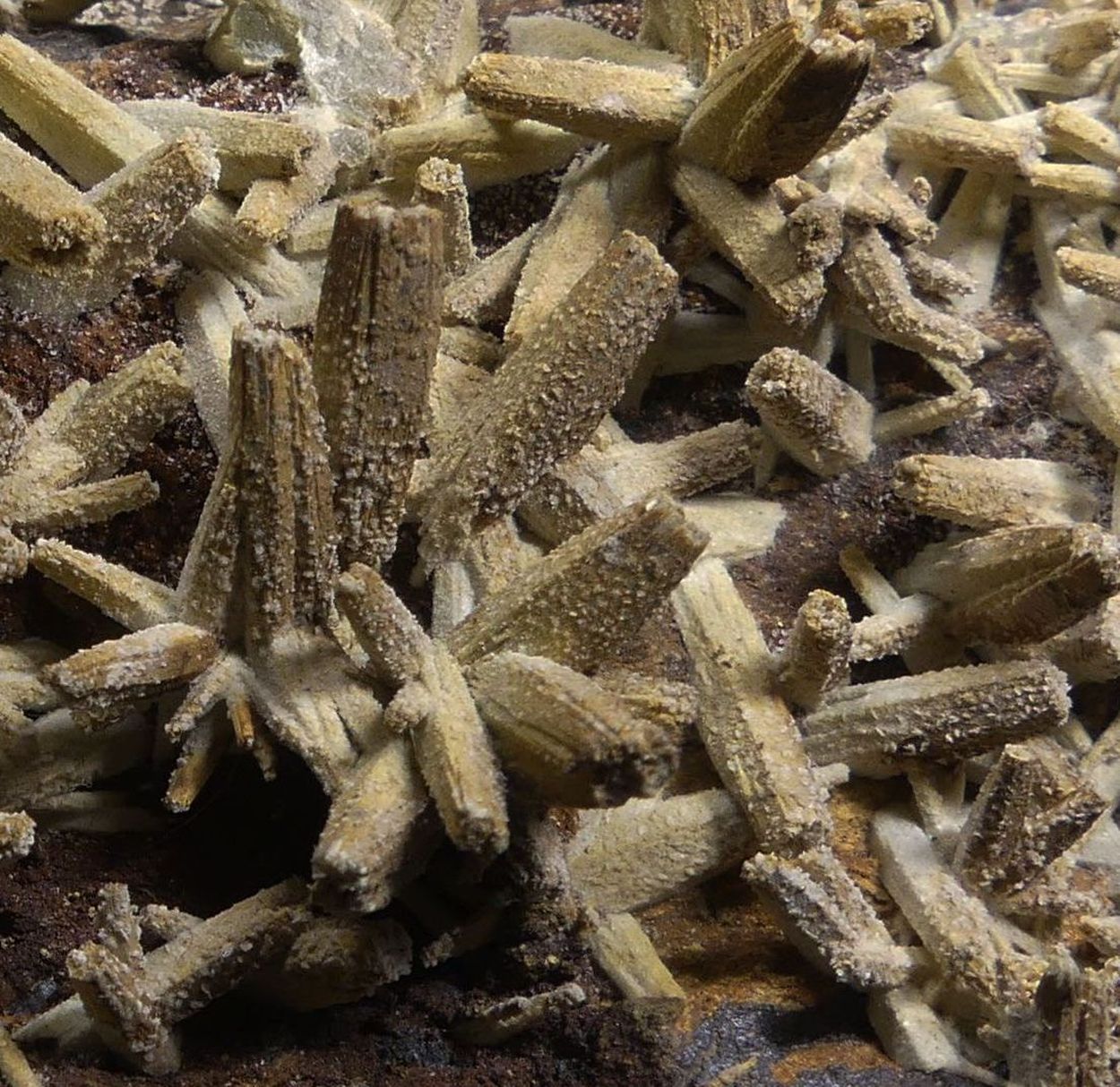 Anglesite Psm Pyromorphite