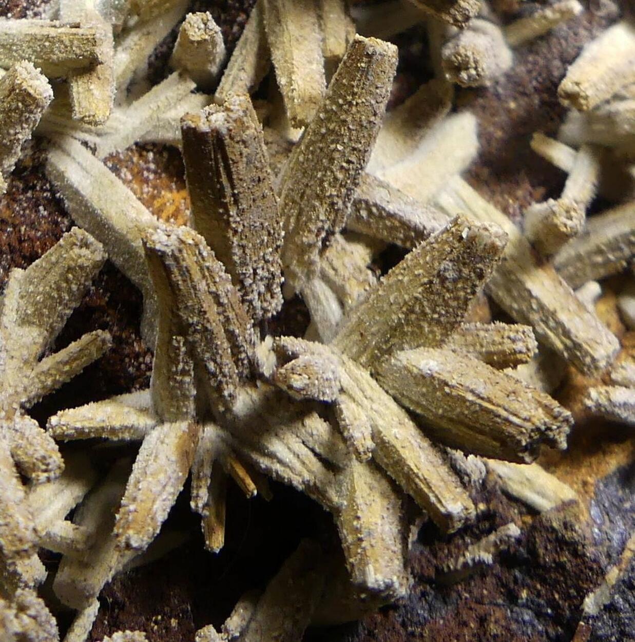 Anglesite Psm Pyromorphite