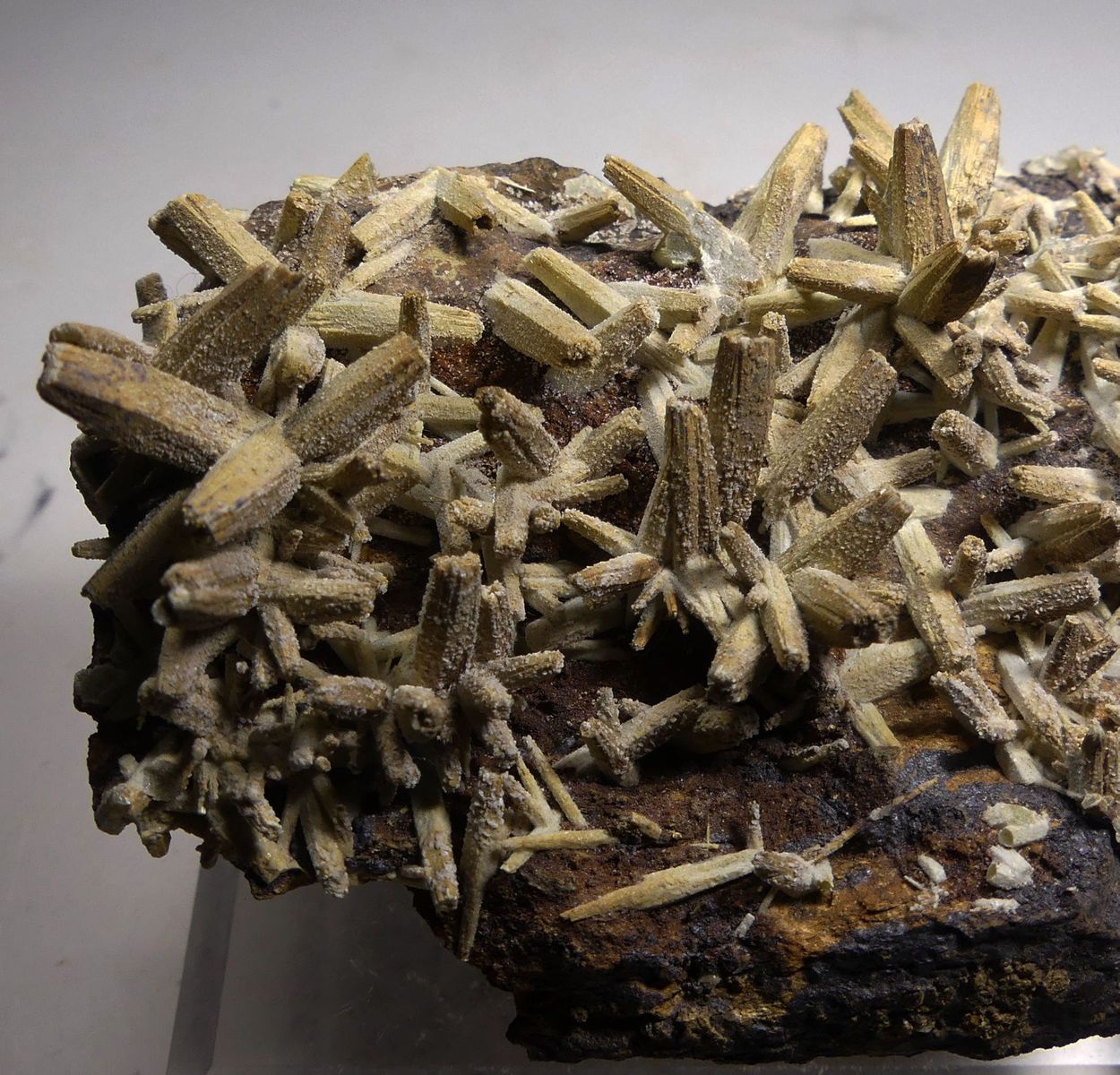 Anglesite Psm Pyromorphite