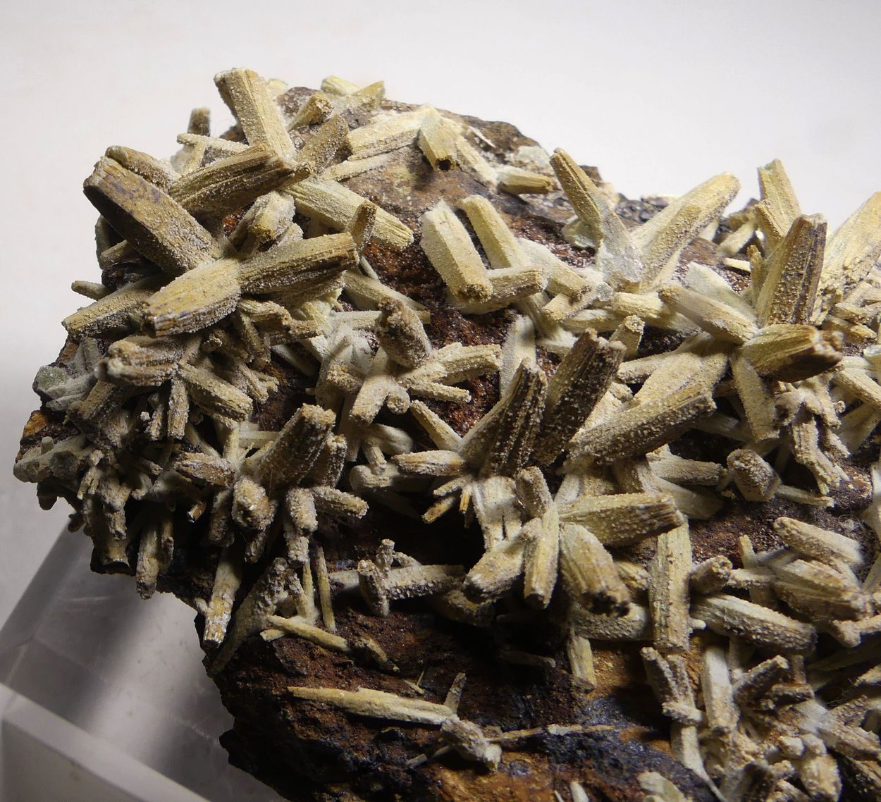 Anglesite Psm Pyromorphite