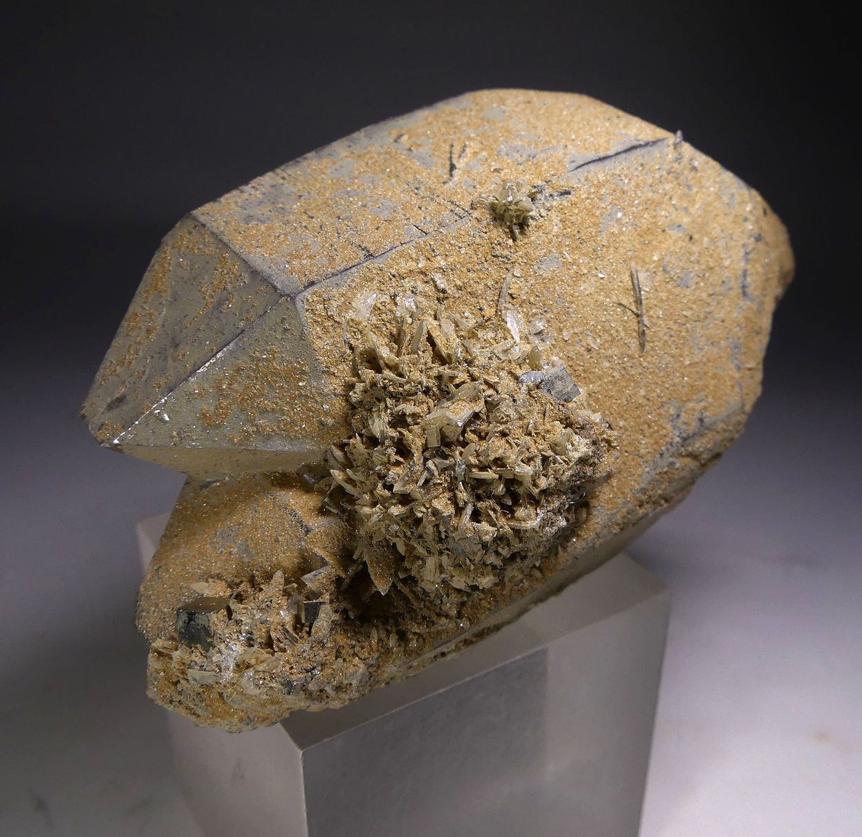 Bertrandite & Pyrite On Quartz