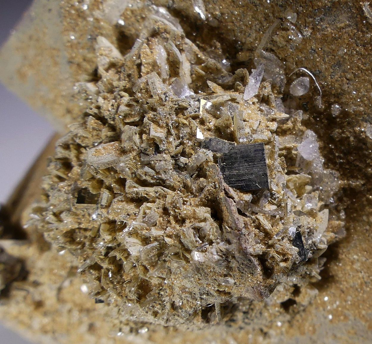 Bertrandite & Pyrite On Quartz