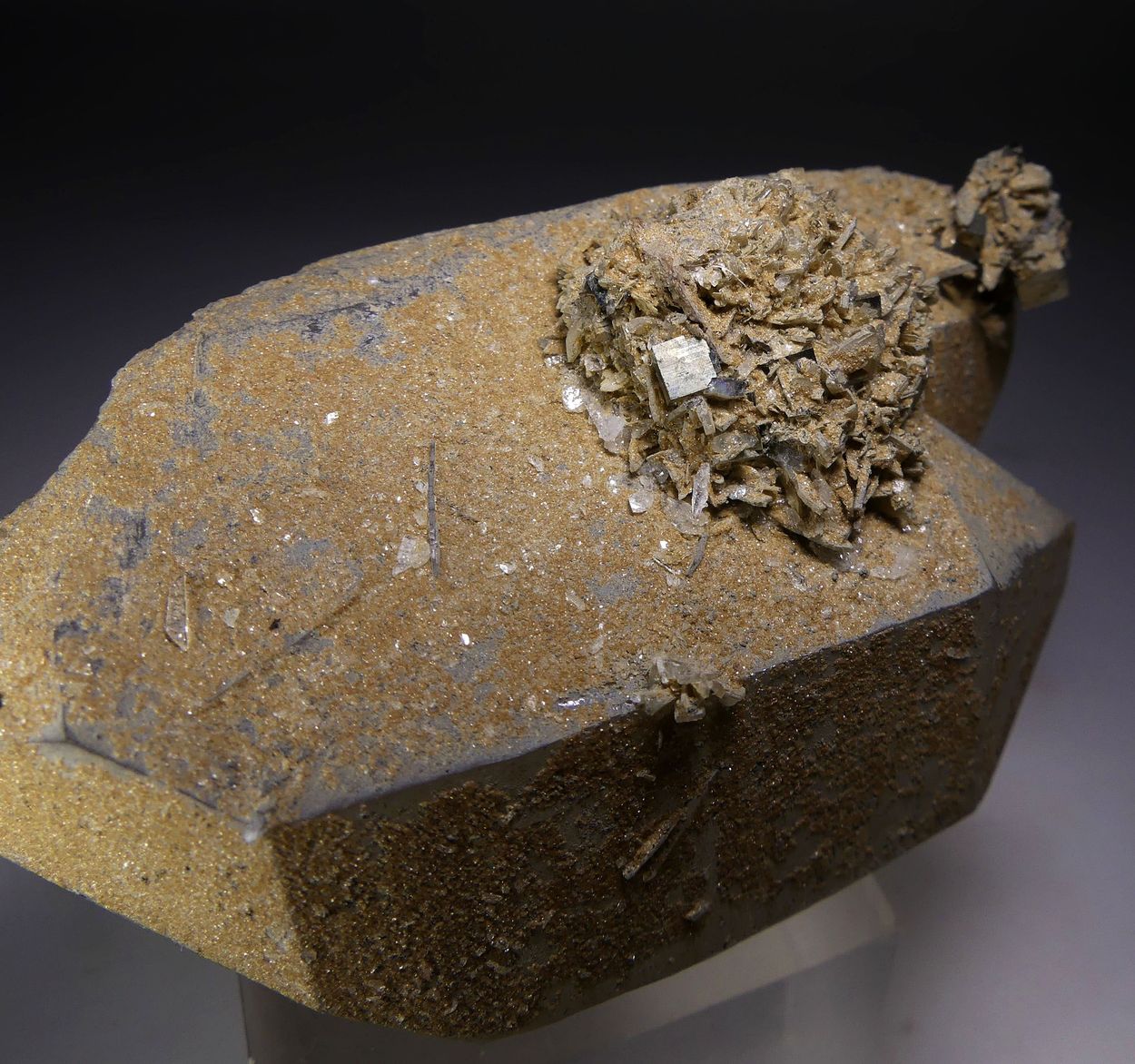 Bertrandite & Pyrite On Quartz