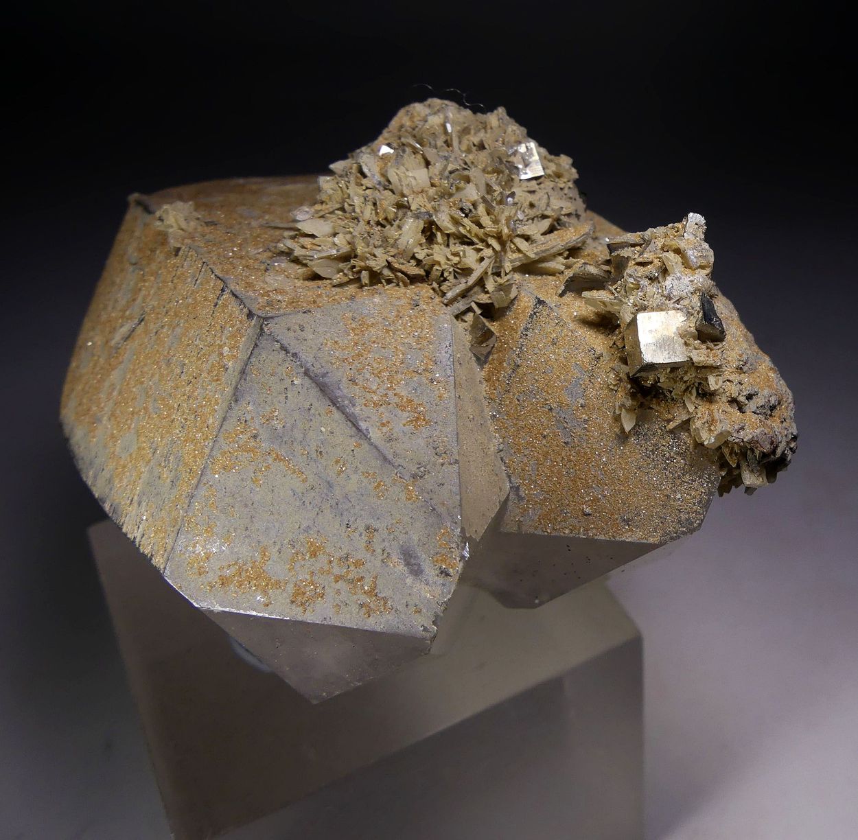 Bertrandite & Pyrite On Quartz