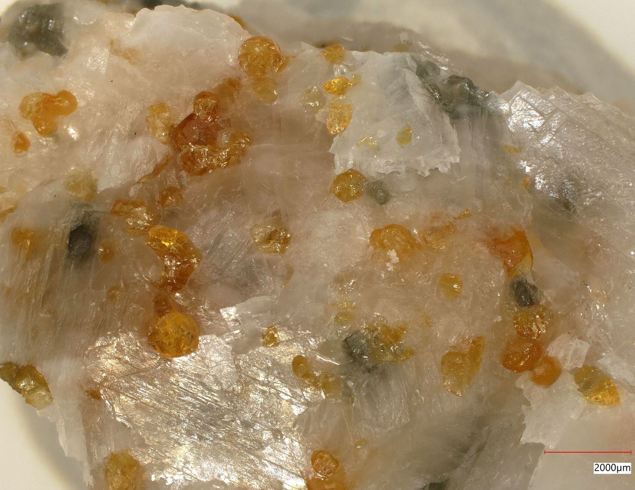 Chondrodite & Pargasite