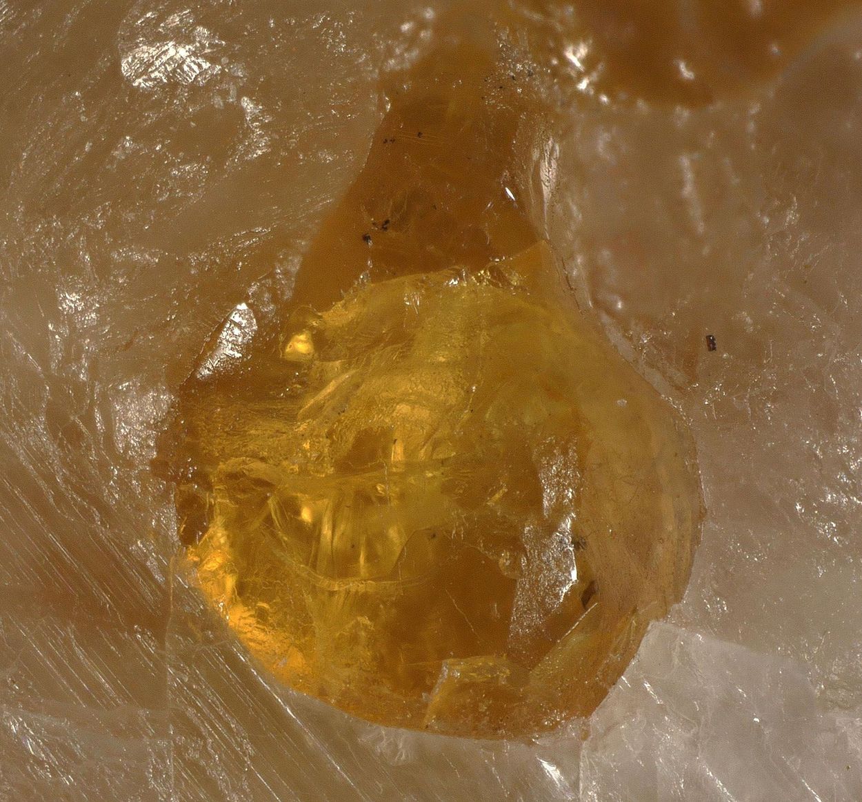 Chondrodite & Pargasite