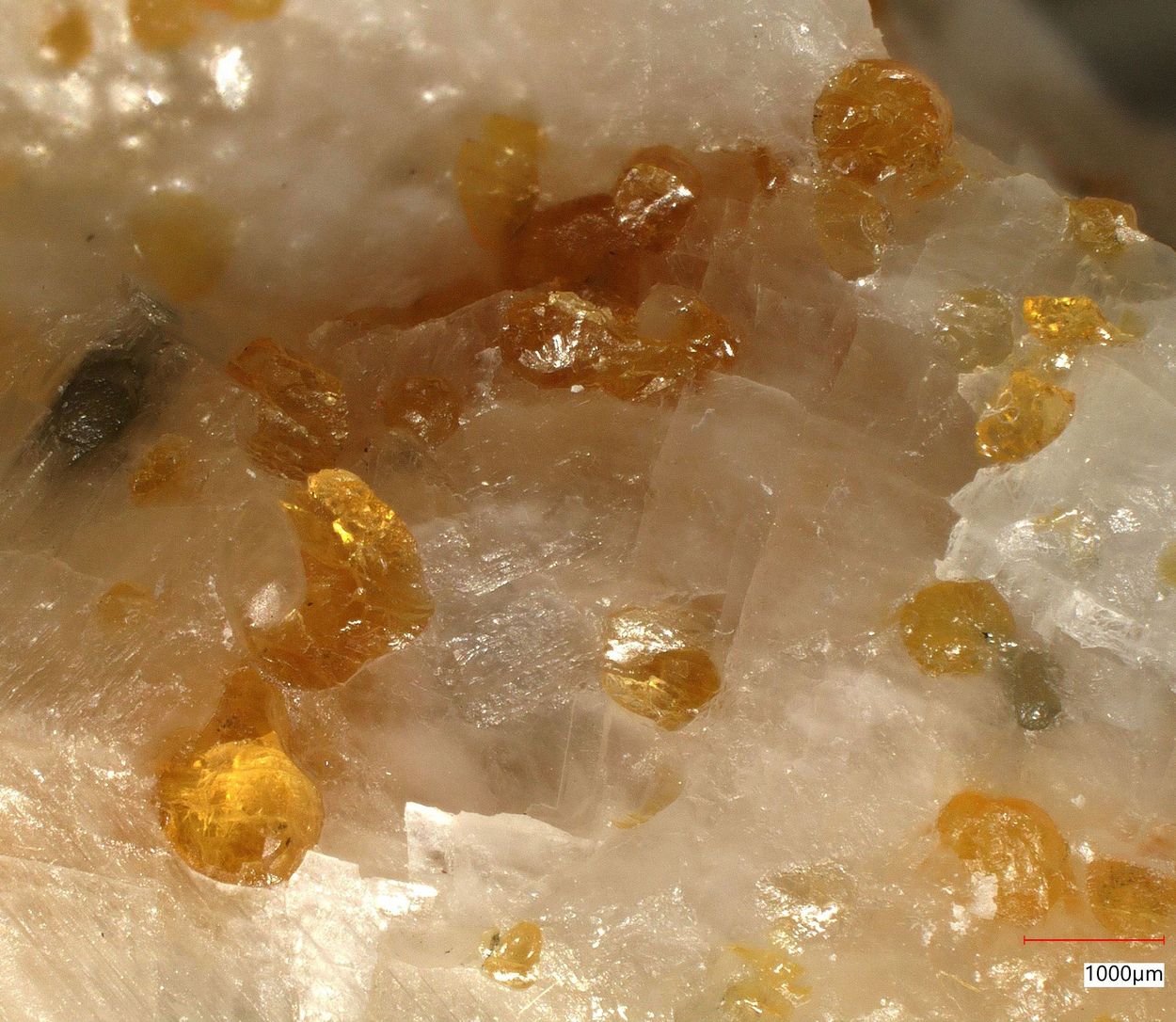 Chondrodite & Pargasite