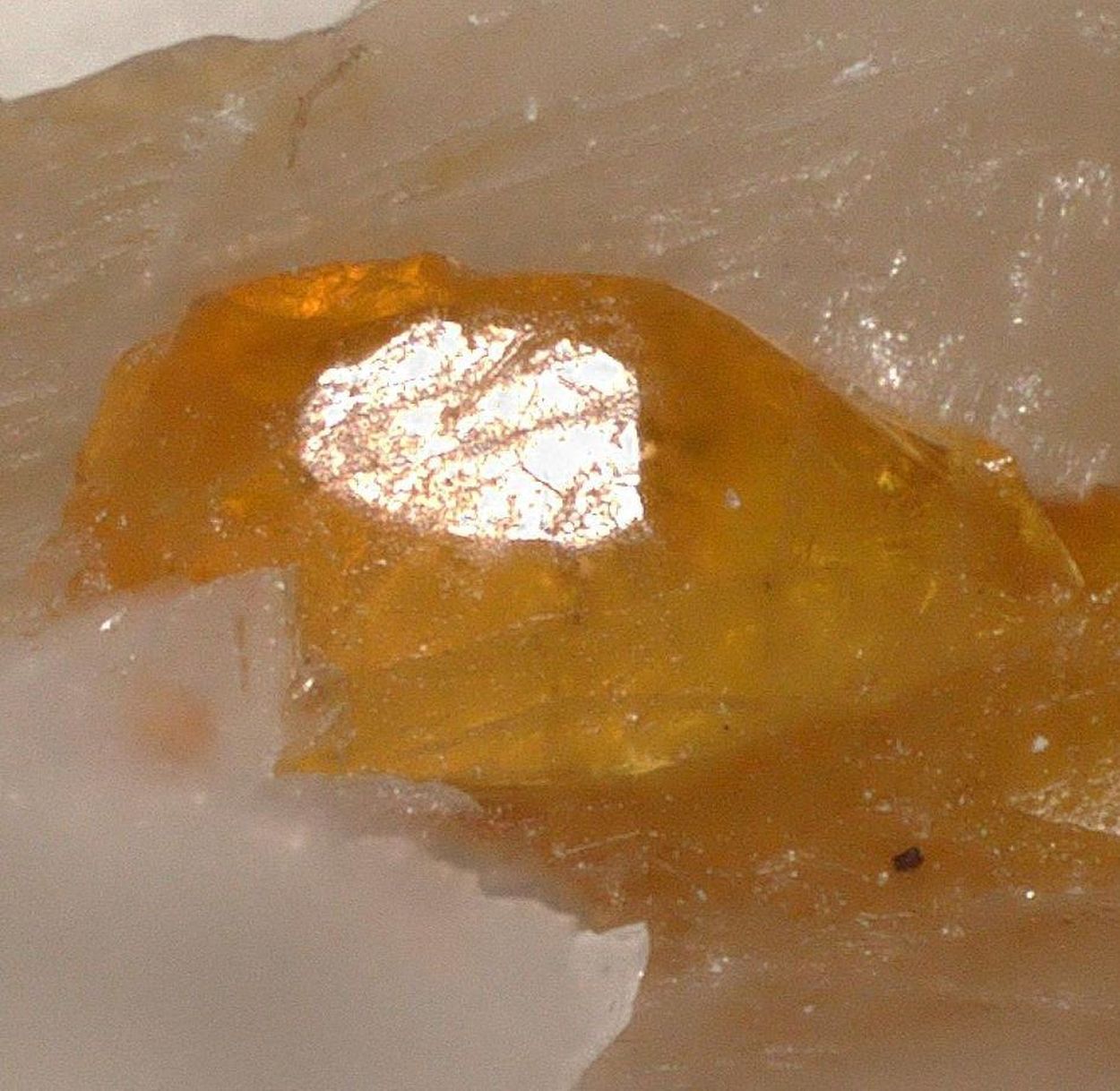 Chondrodite & Pargasite