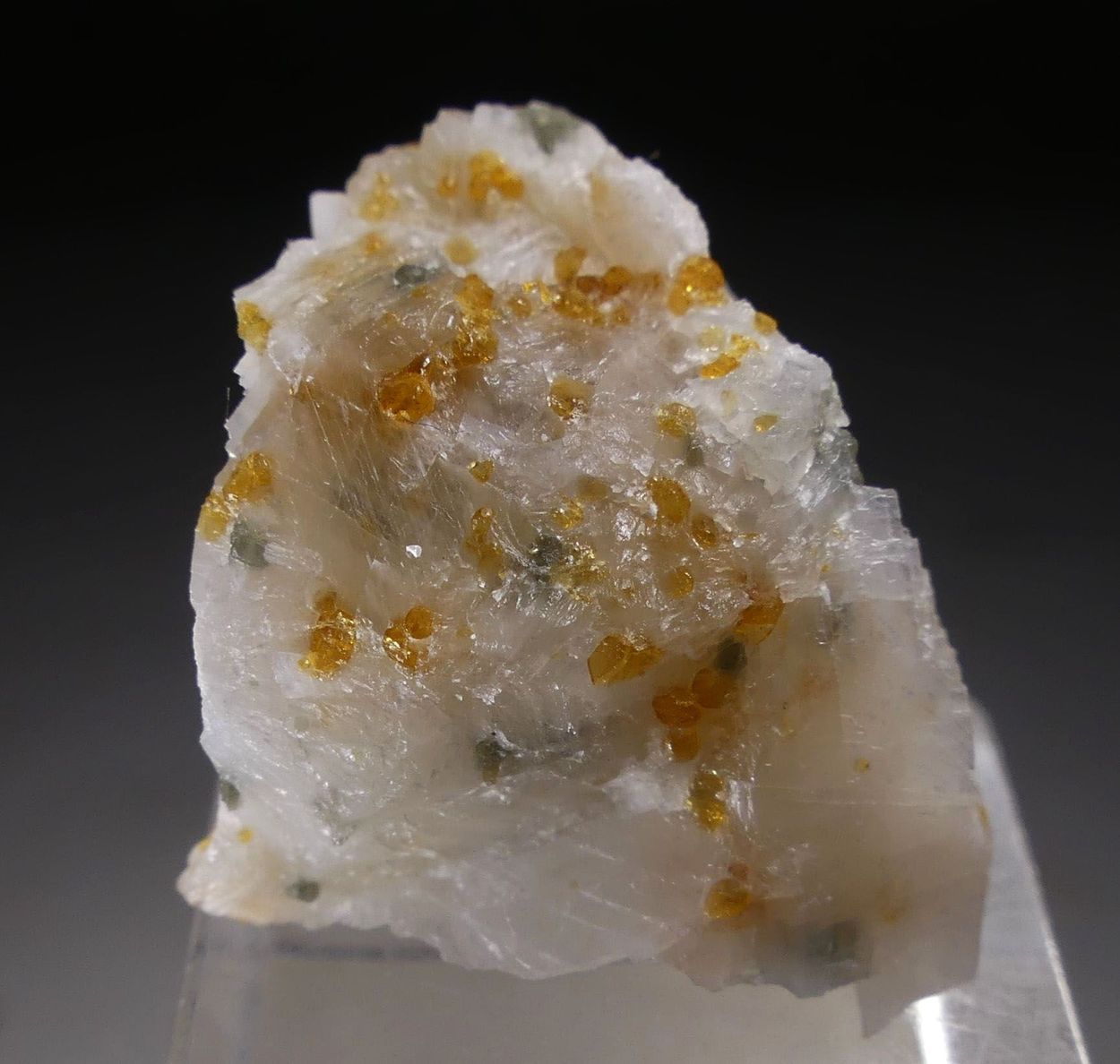 Chondrodite & Pargasite