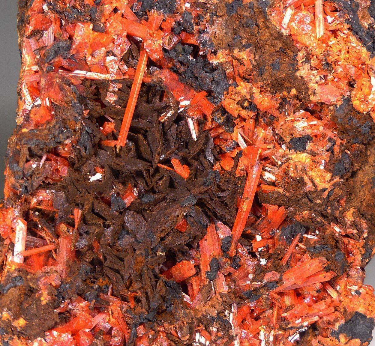 Crocoite On Siderite