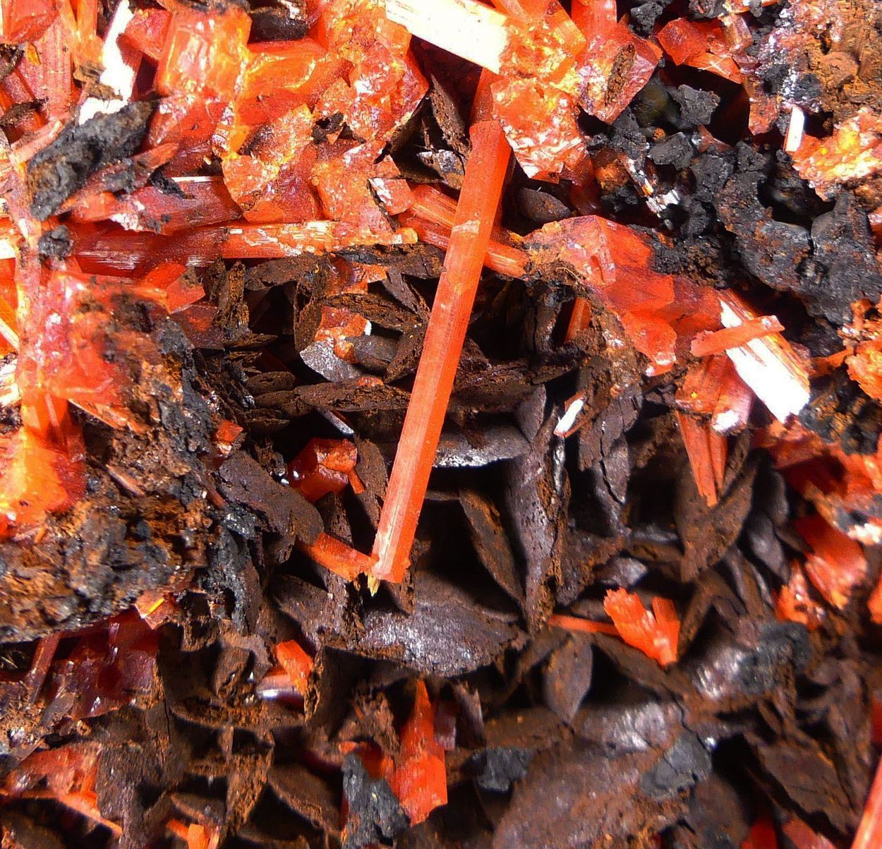 Crocoite On Siderite