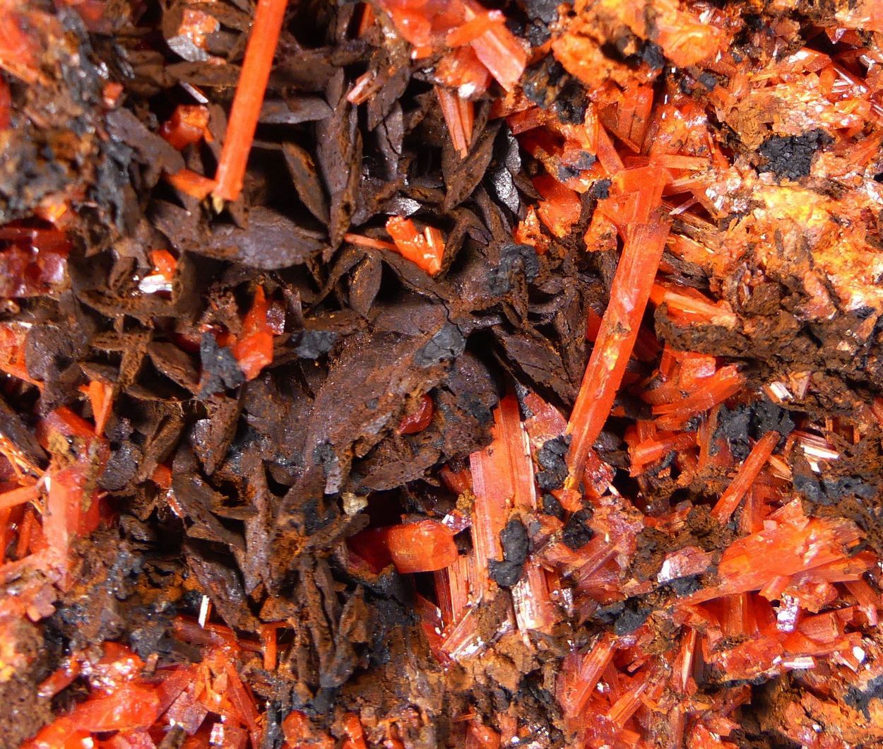 Crocoite On Siderite
