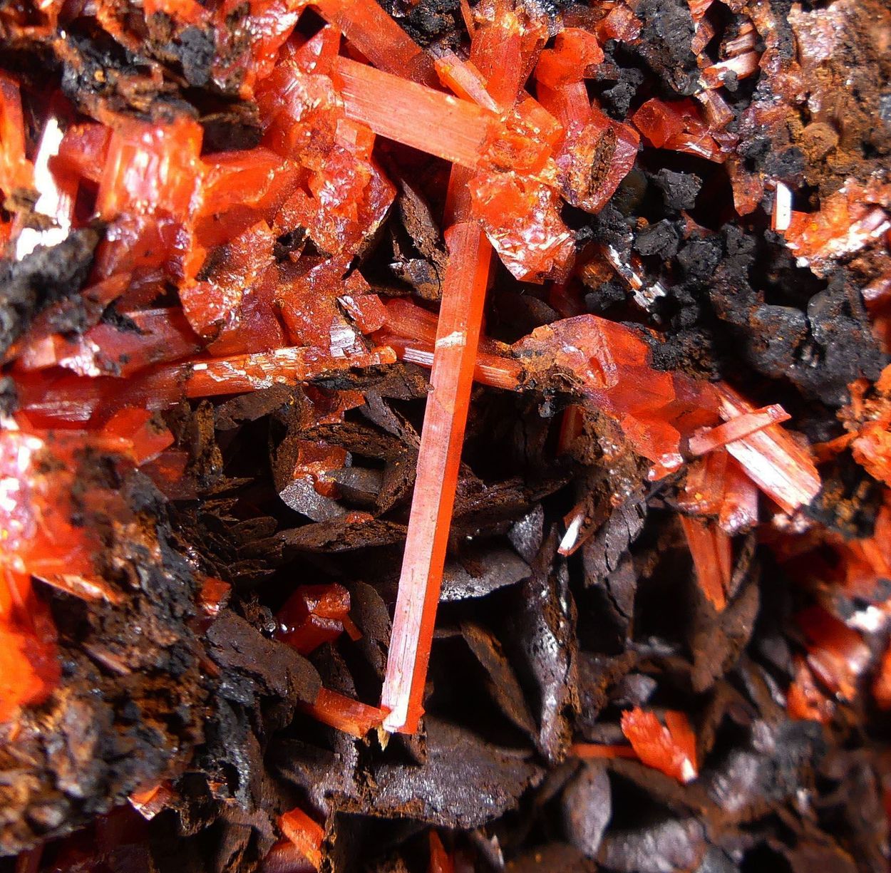 Crocoite On Siderite