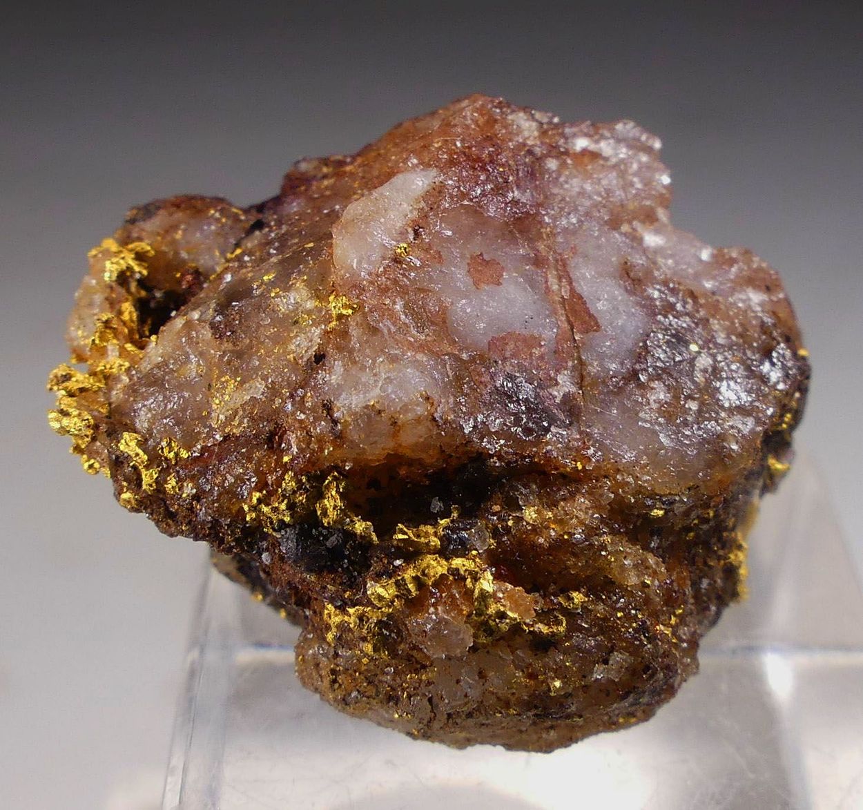 Native Gold On Quartz
