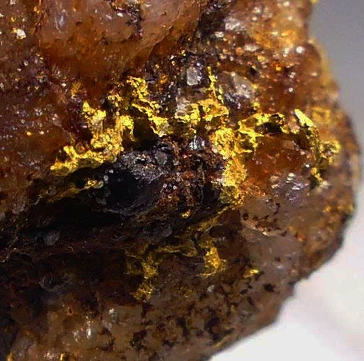 Native Gold On Quartz