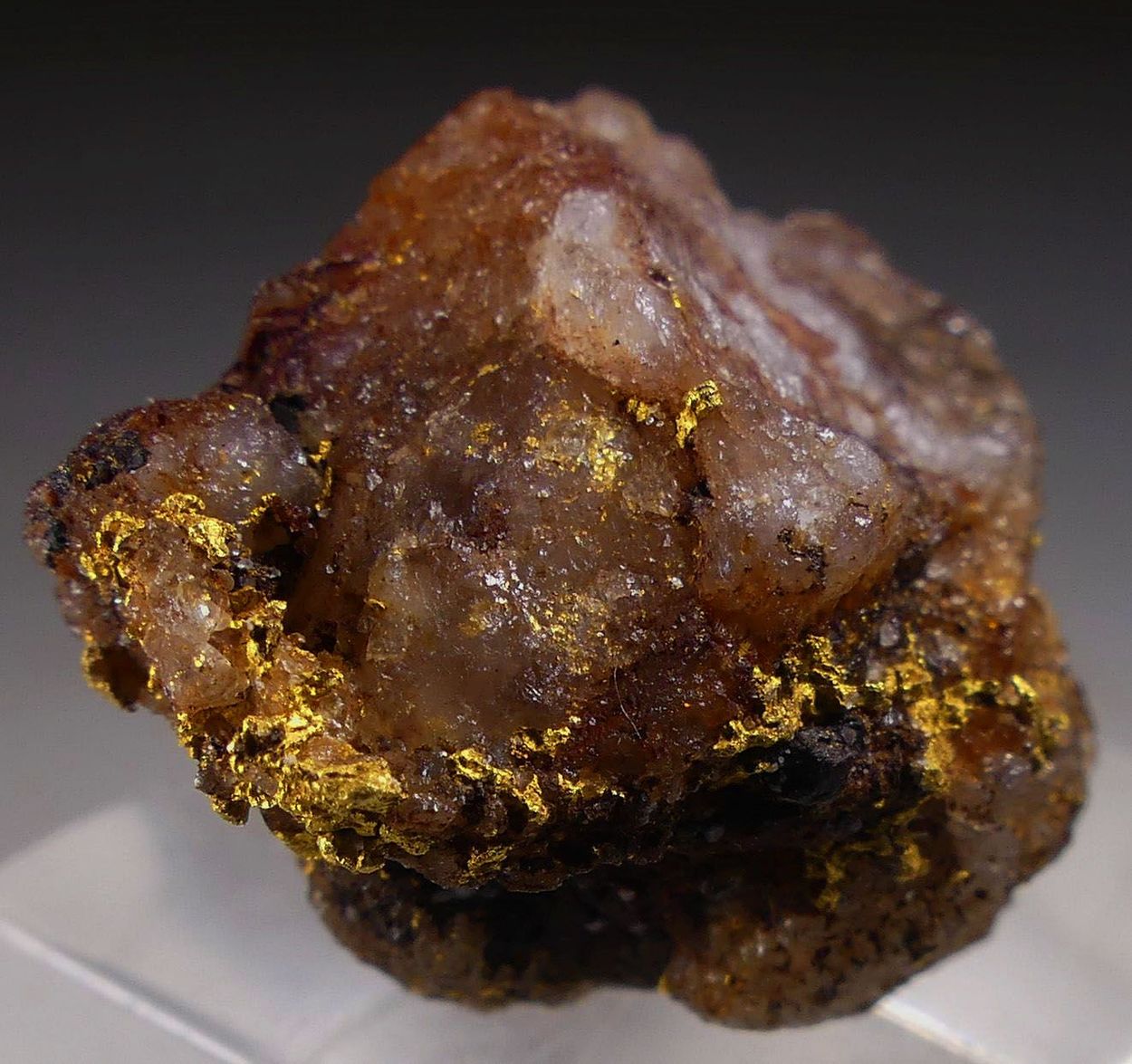 Native Gold On Quartz
