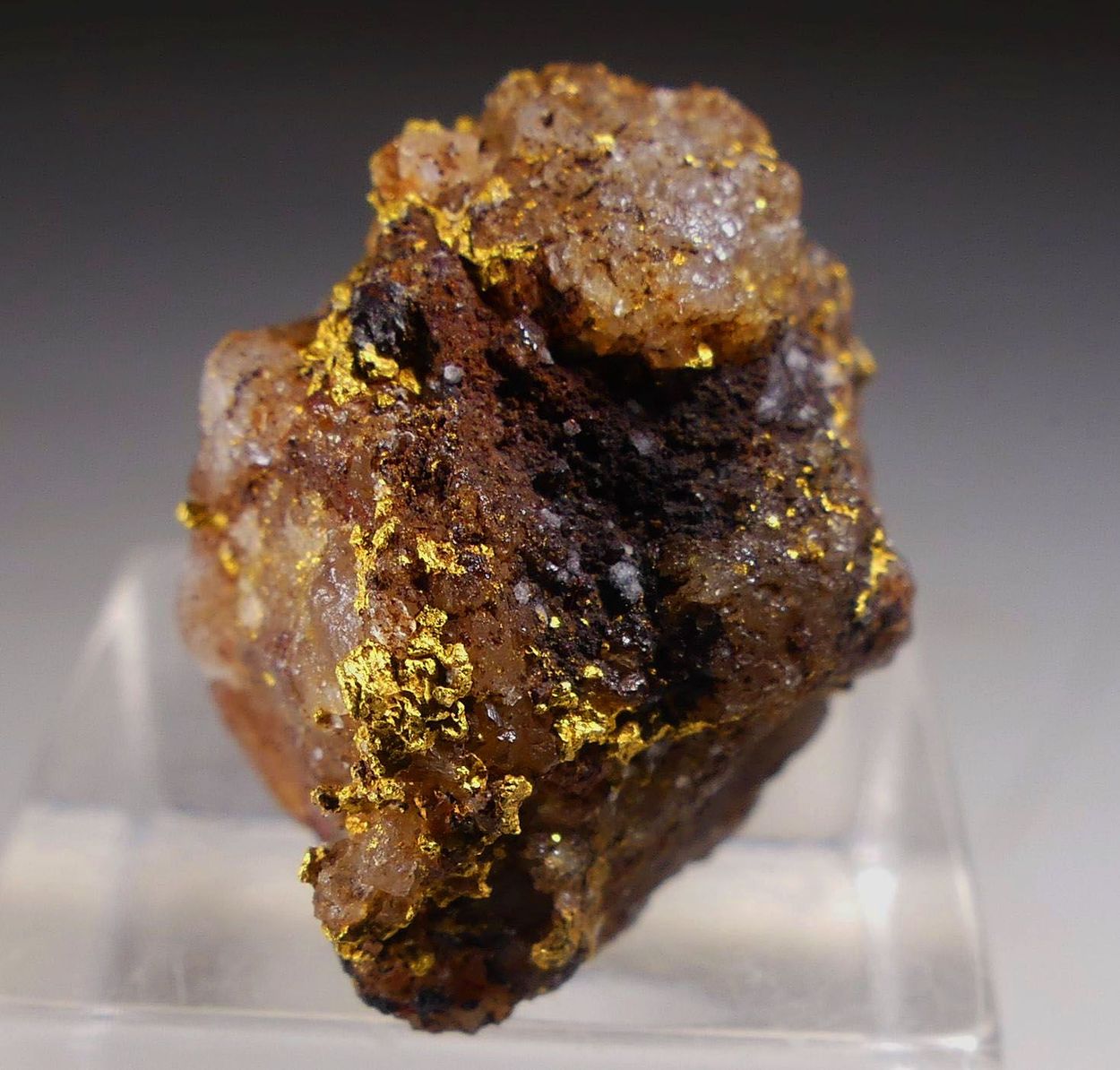 Native Gold On Quartz