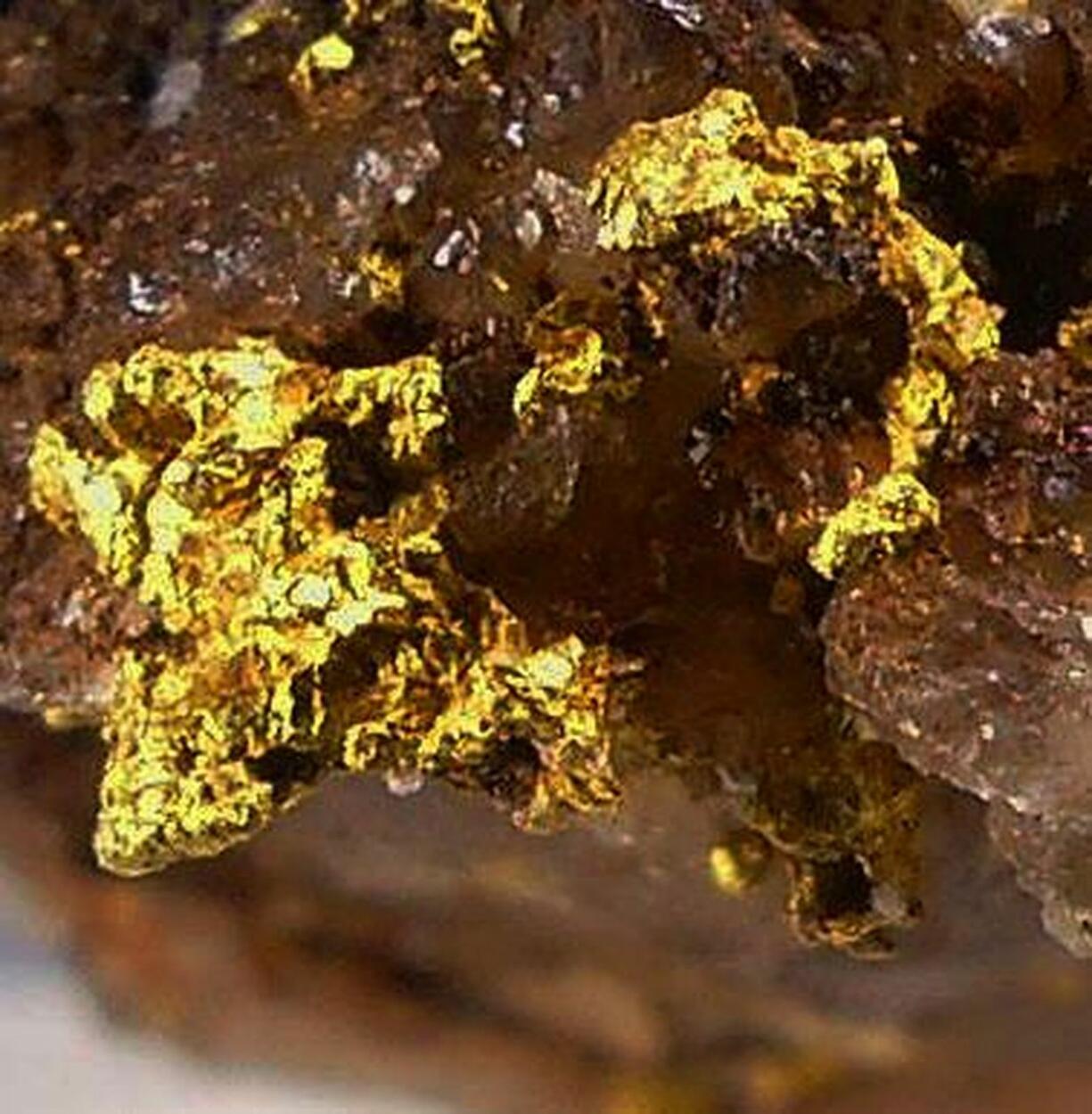 Native Gold On Quartz