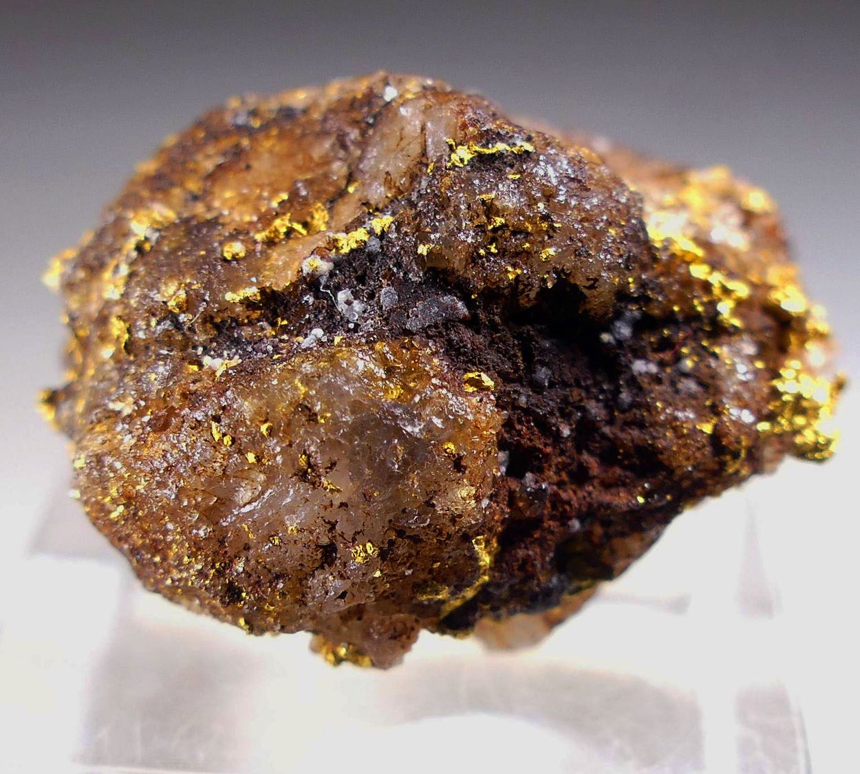 Native Gold On Quartz