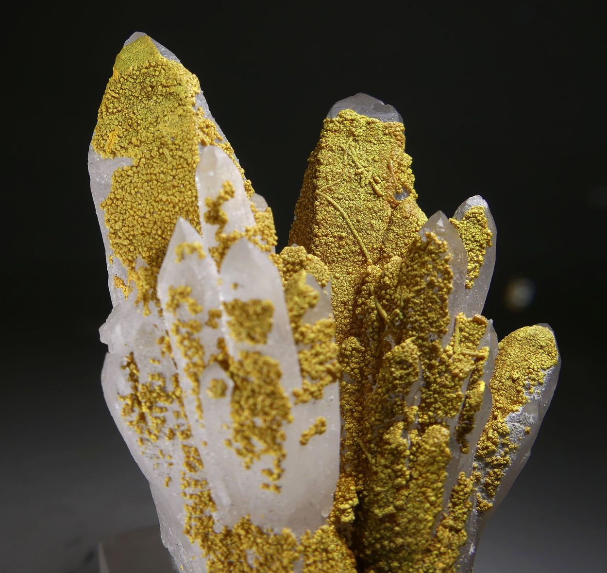 Orpiment On Quartz