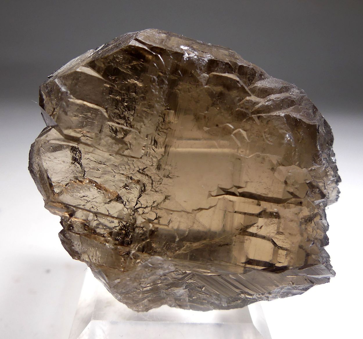 Smoky Quartz Gwindel