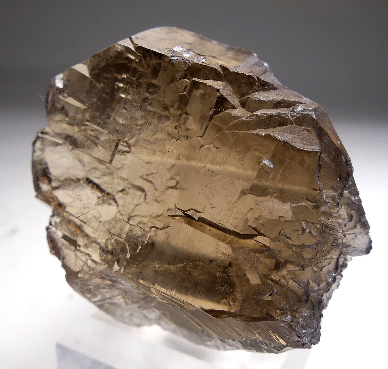 Smoky Quartz Gwindel