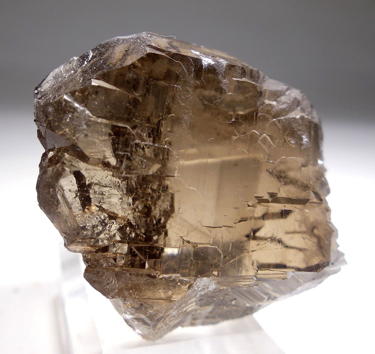 Smoky Quartz Gwindel