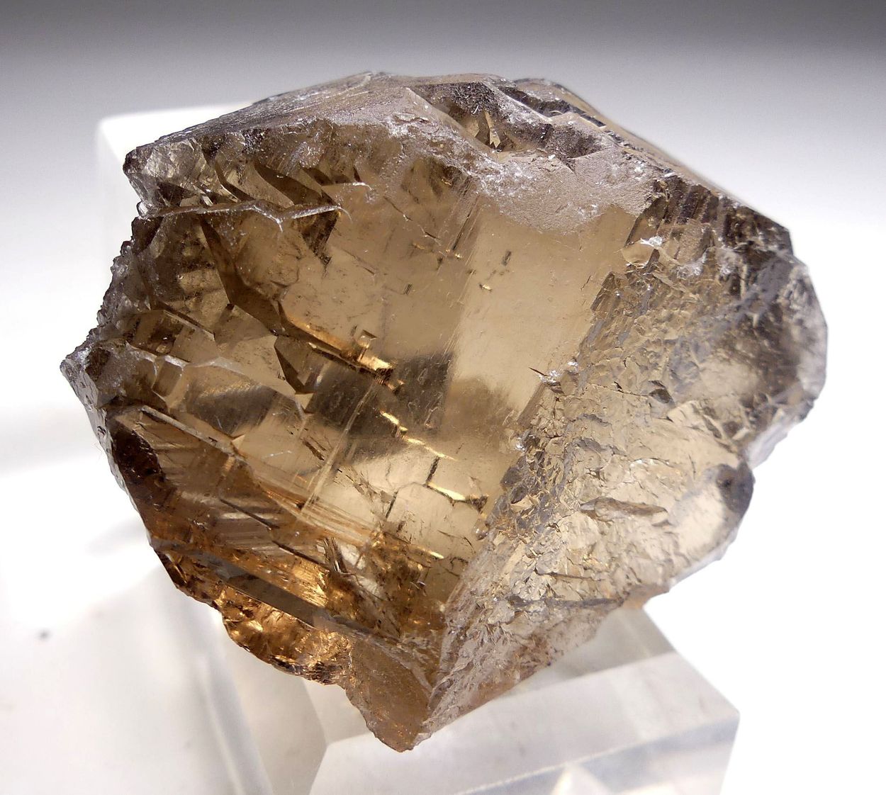Smoky Quartz Gwindel