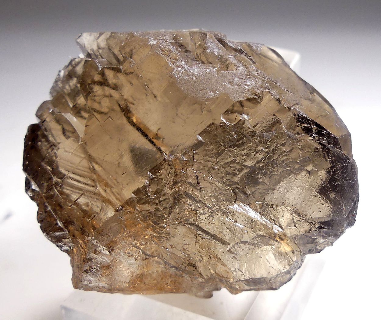 Smoky Quartz Gwindel