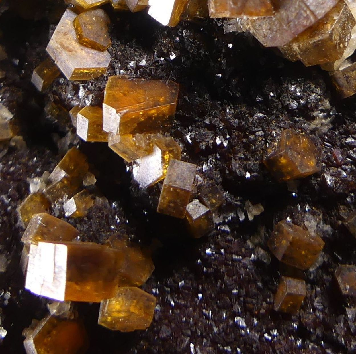 Vanadinite On Descloizite