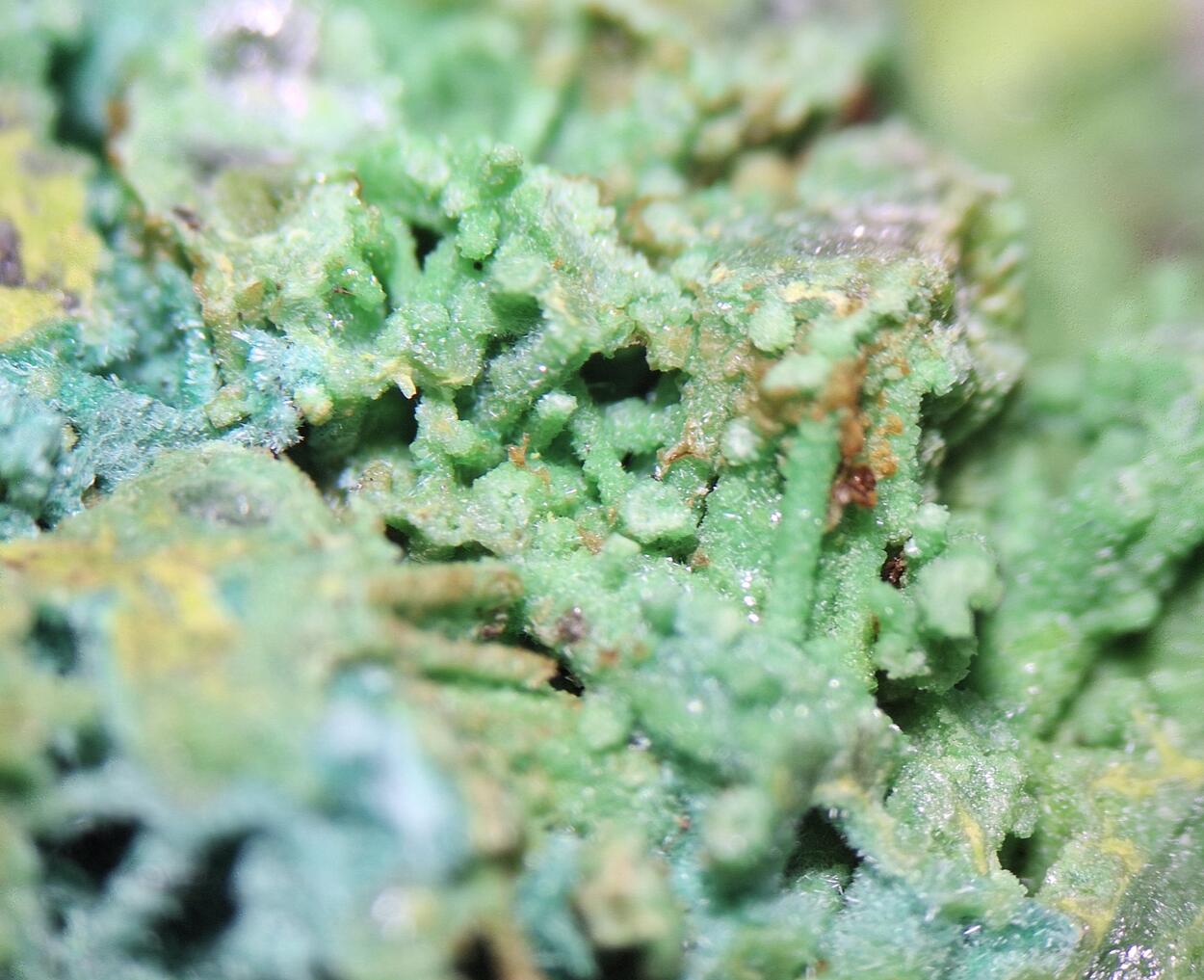 Bayldonite Psm Mimetite With Malachite