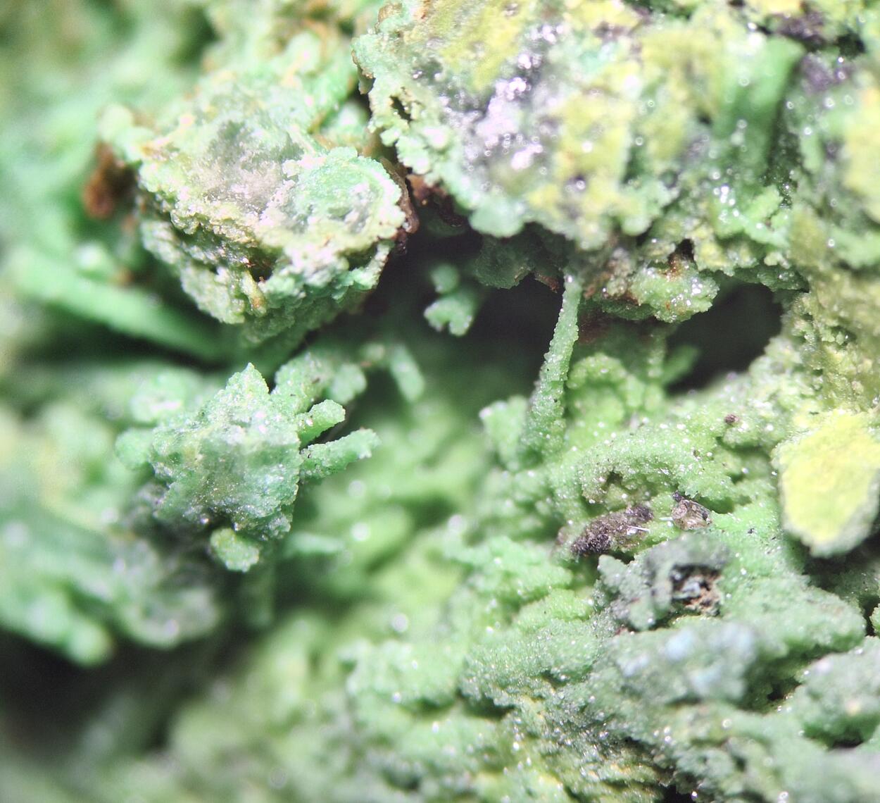 Bayldonite Psm Mimetite With Malachite