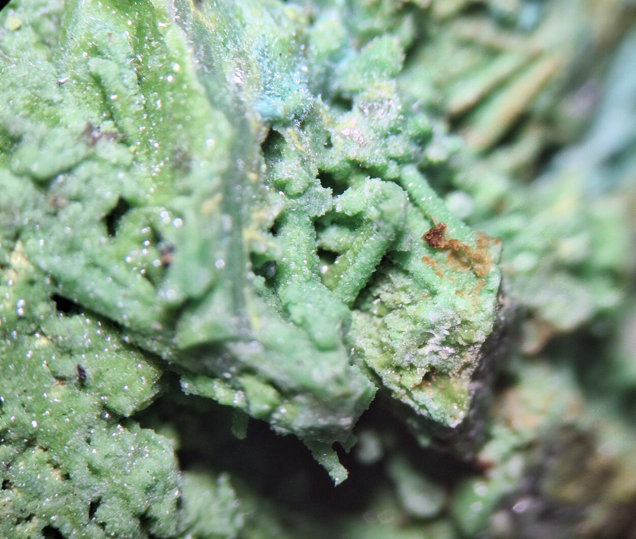 Bayldonite Psm Mimetite With Malachite