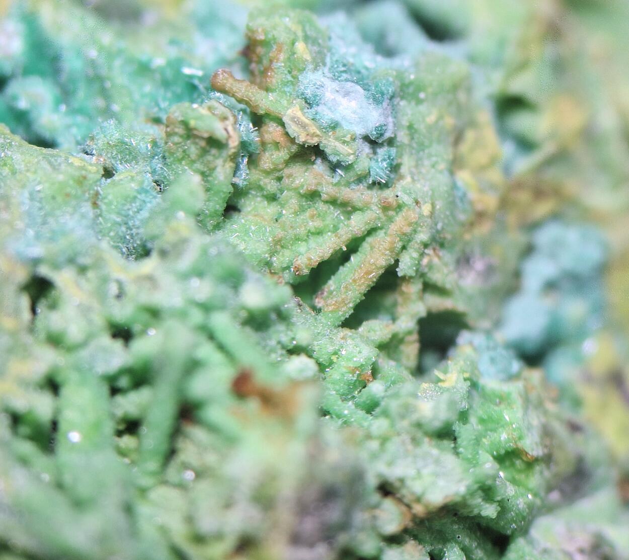 Bayldonite Psm Mimetite With Malachite