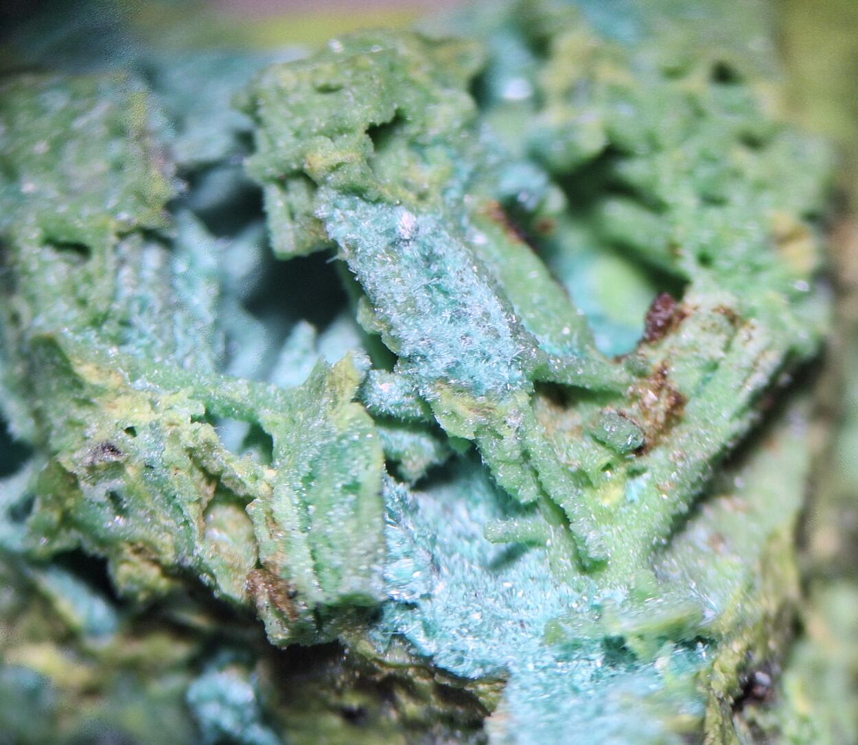 Bayldonite Psm Mimetite With Malachite