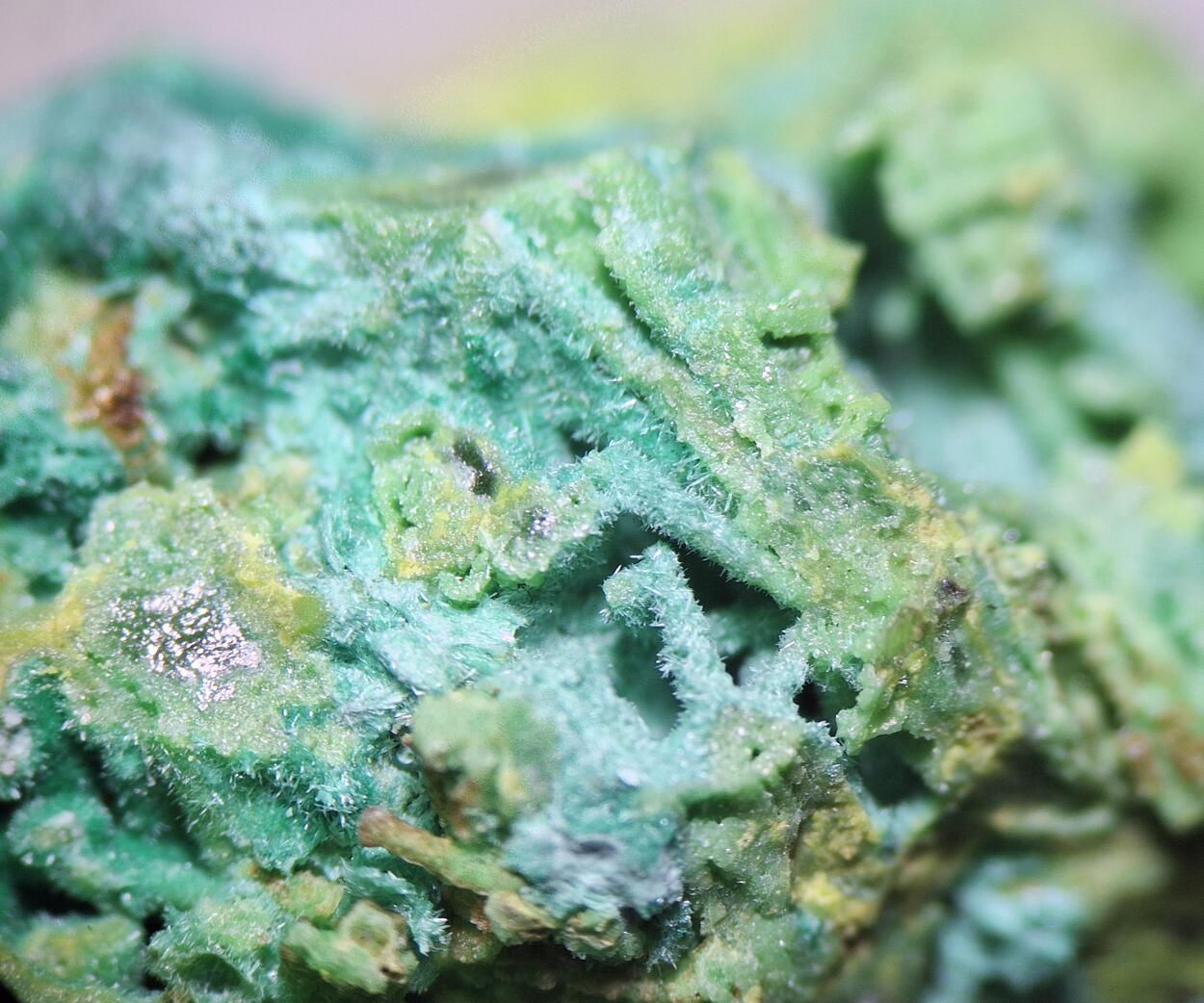 Bayldonite Psm Mimetite With Malachite