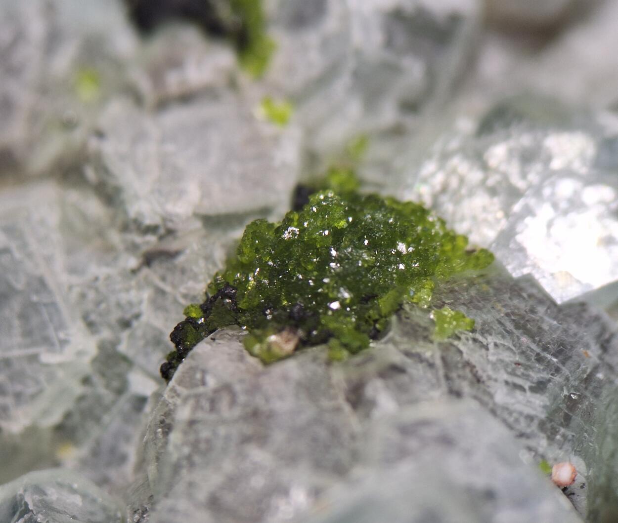 Smithsonite & Duftite