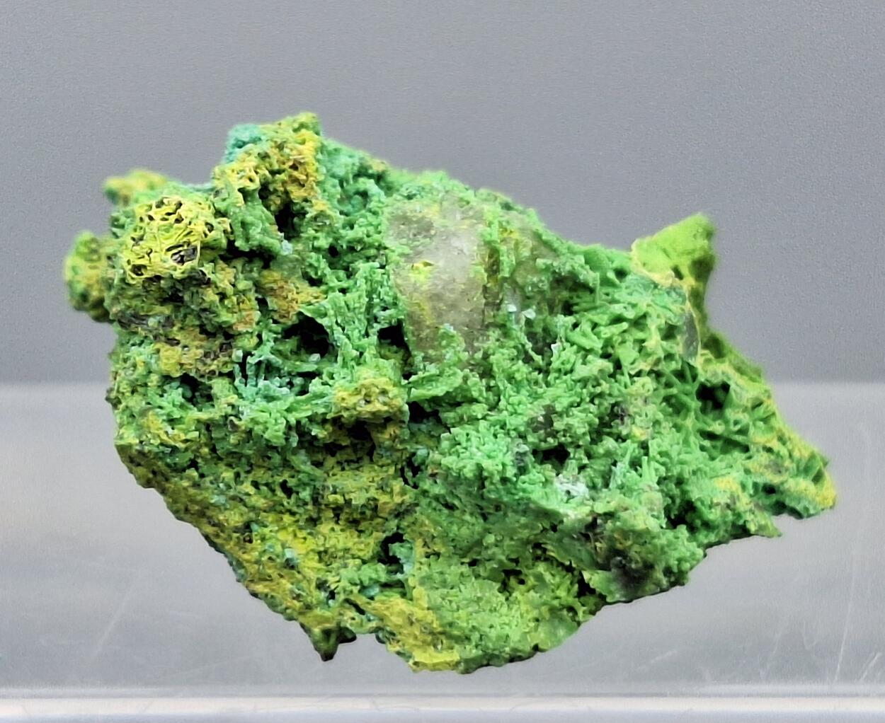 Bayldonite Psm Mimetite Cerussite
