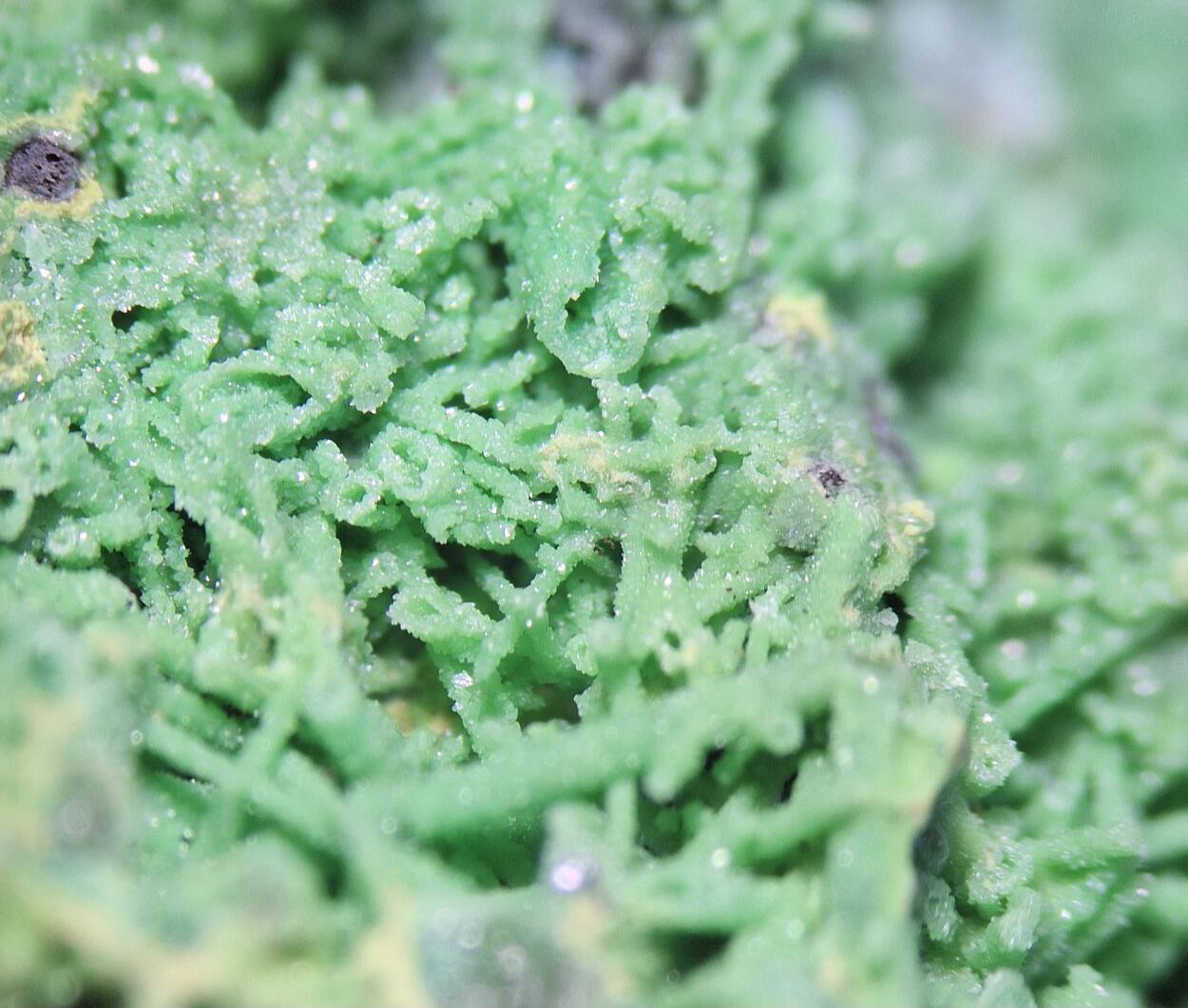 Bayldonite Psm Mimetite Cerussite